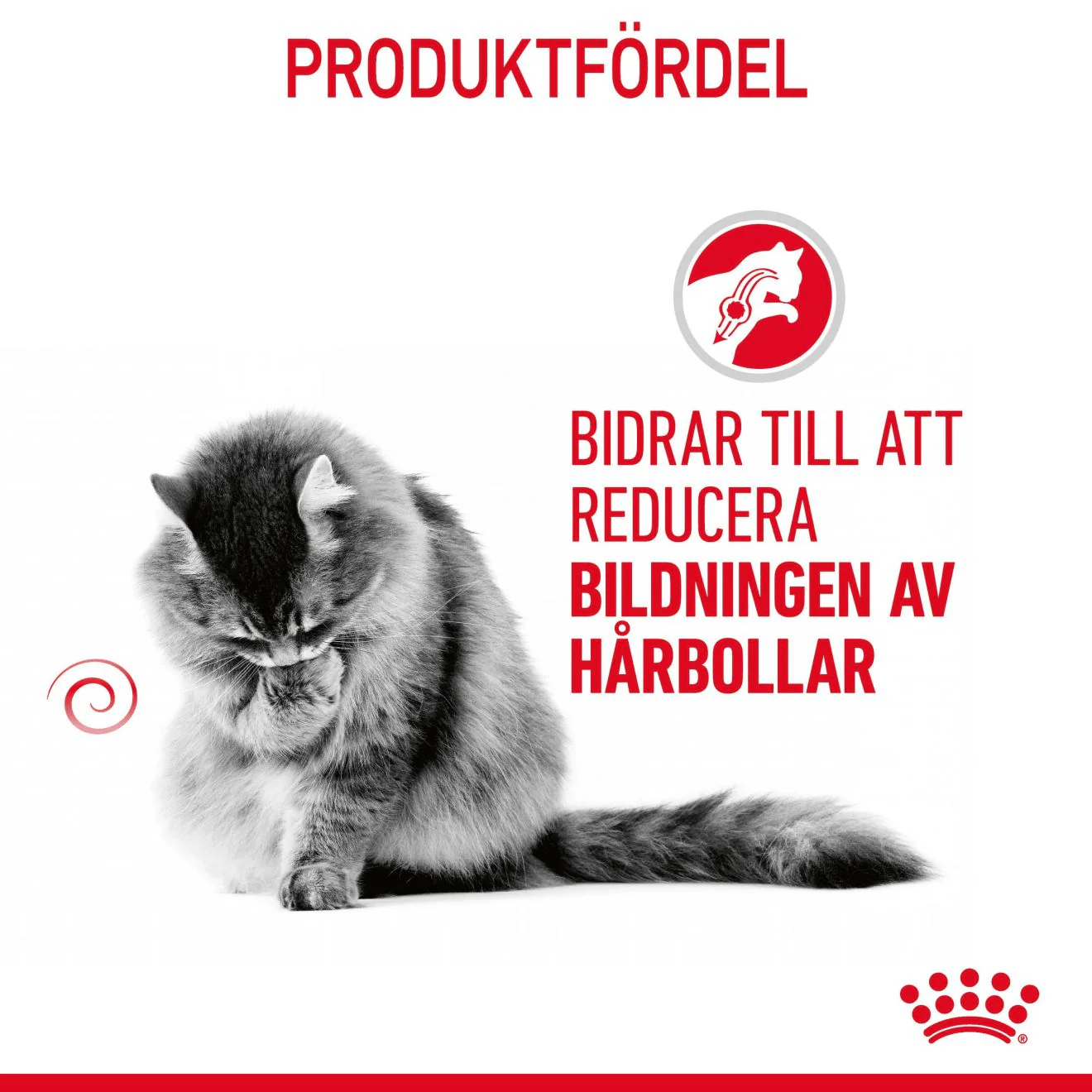 Royal Canin Hairball Care Gravy - Image 3