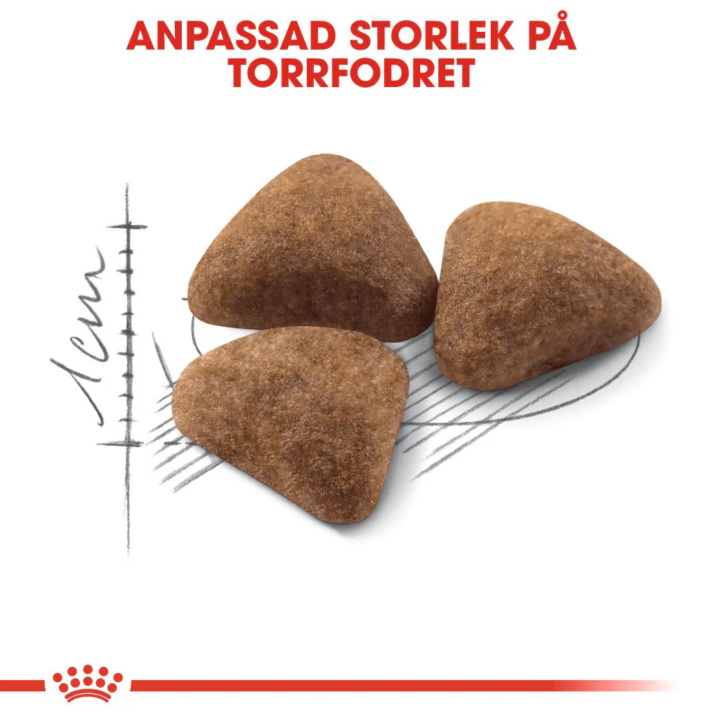 Royal Canin Indoor - Image 4
