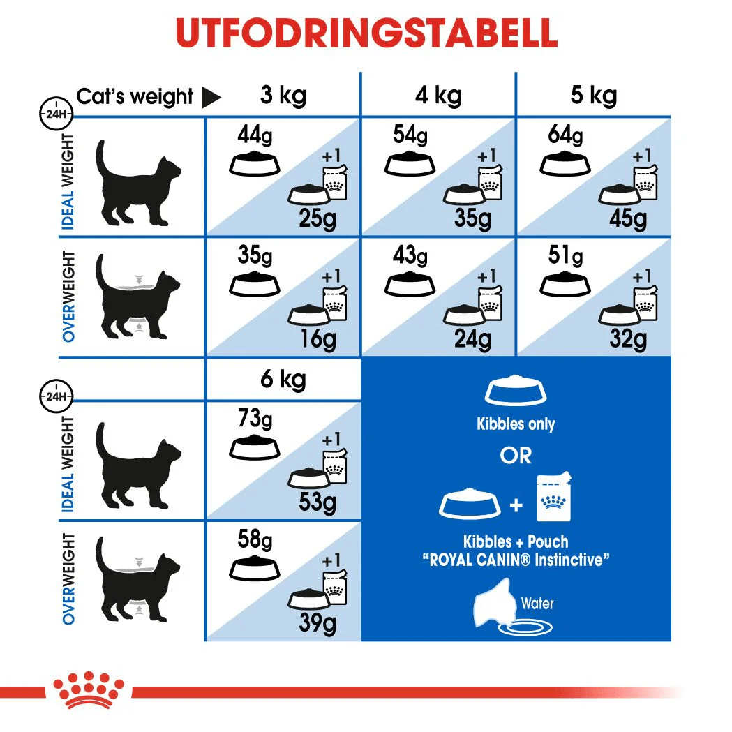 Royal Canin Indoor Long Hair - Image 4