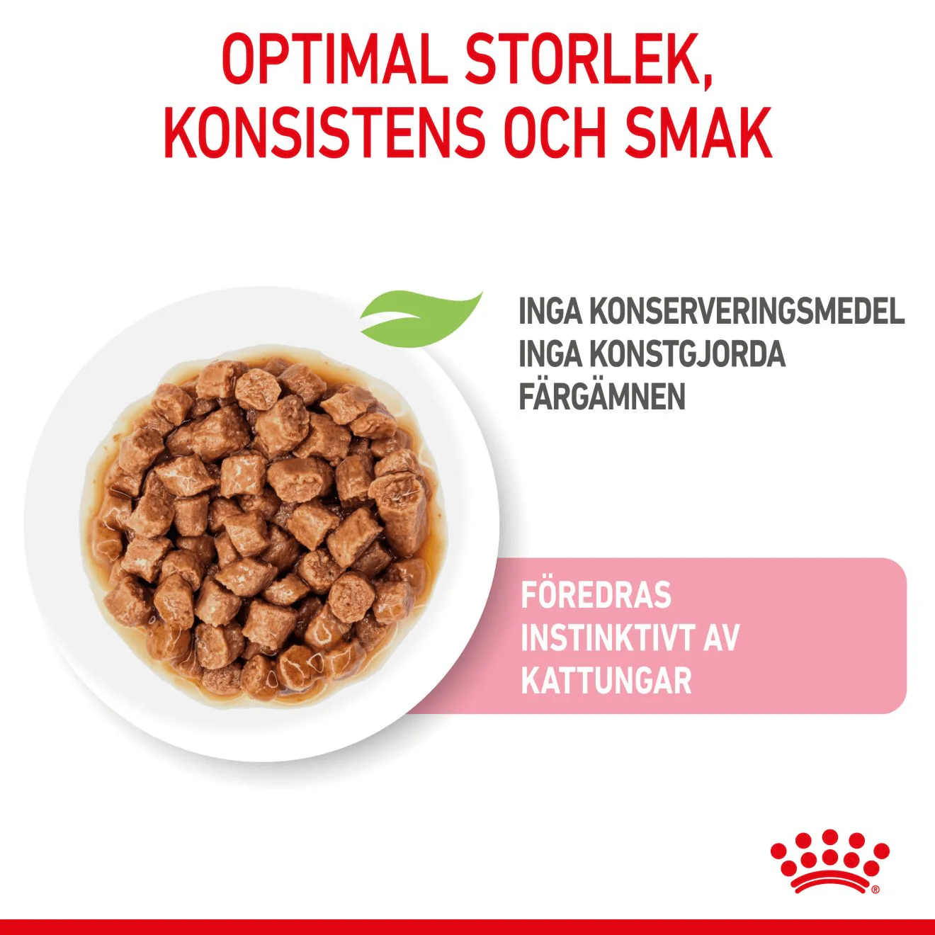 Royal Canin Kitten Gravy - Image 3