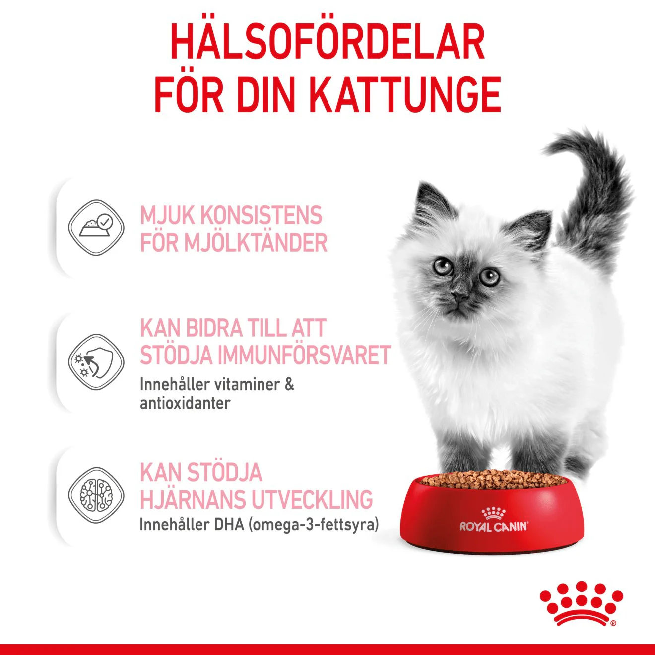 Royal Canin Kitten Gravy - Image 4