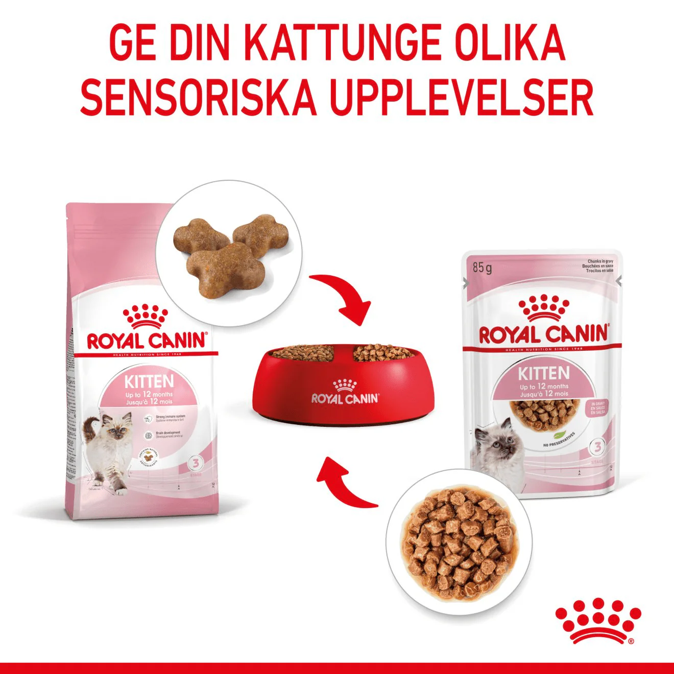 Royal Canin Kitten Gravy - Image 5