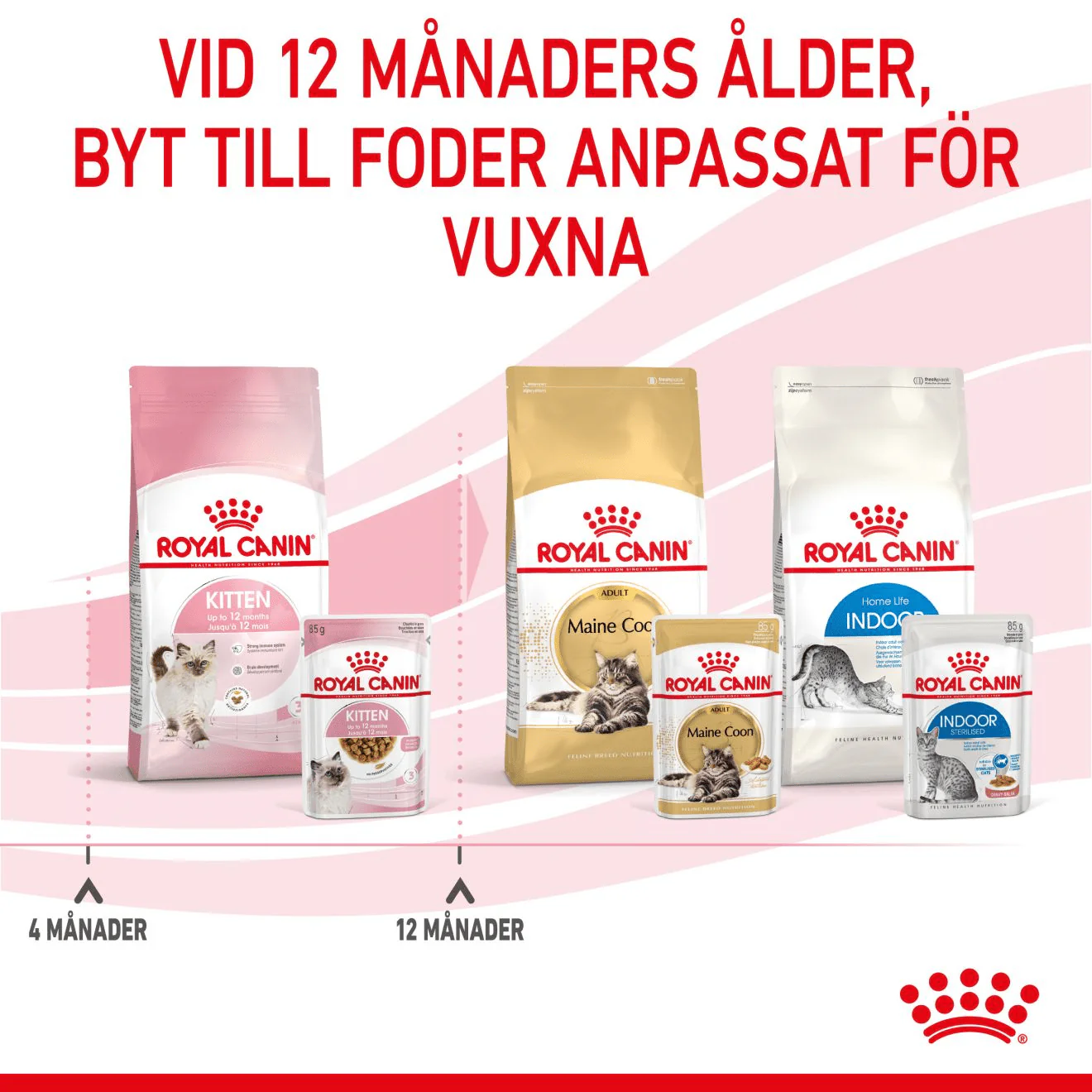 Royal Canin Kitten Gravy - Image 8