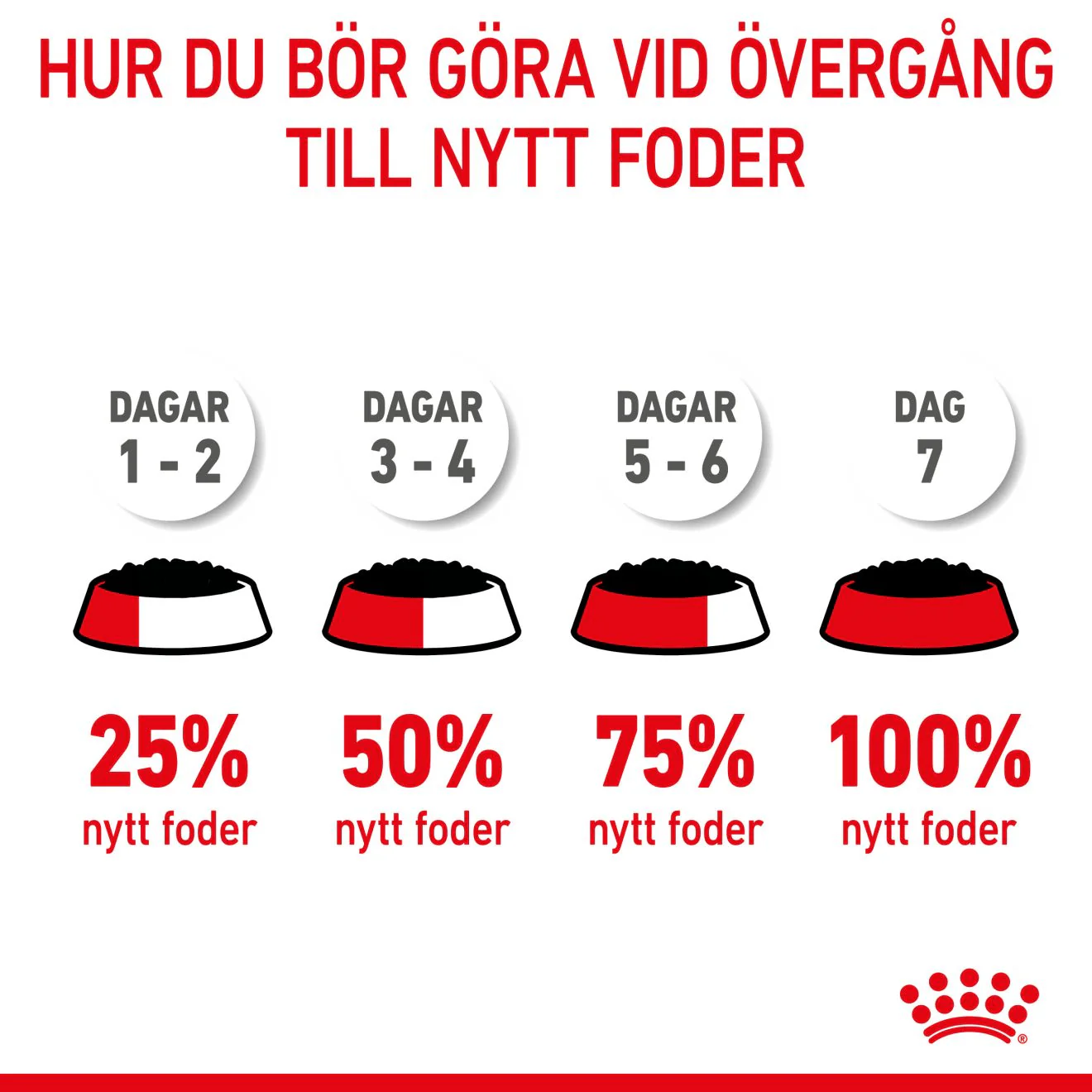 Royal Canin Kitten Gravy - Image 9