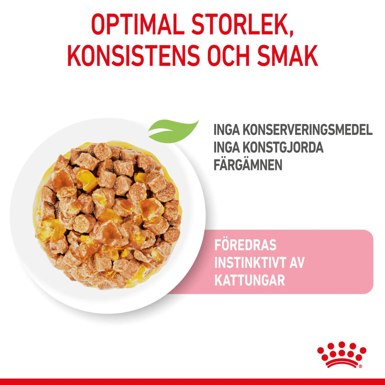 Royal Canin Kitten Jelly - Image 3