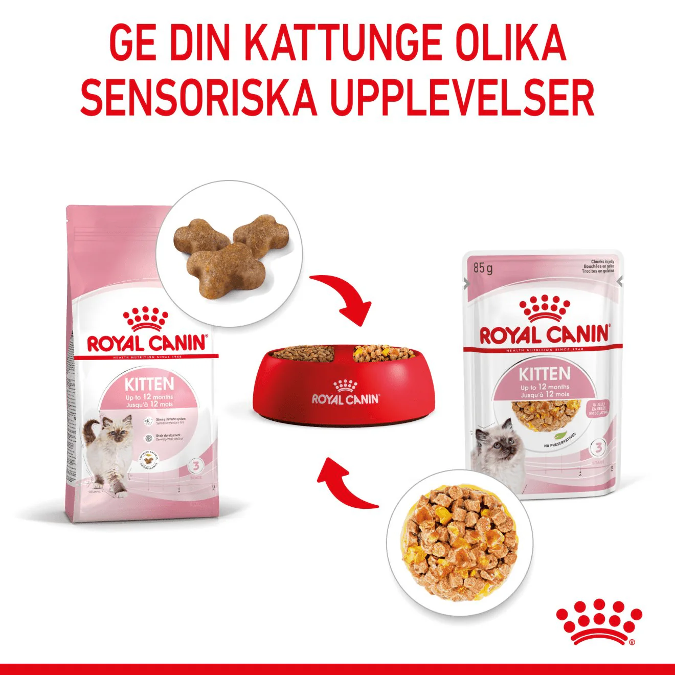 Royal Canin Kitten Jelly - Image 5