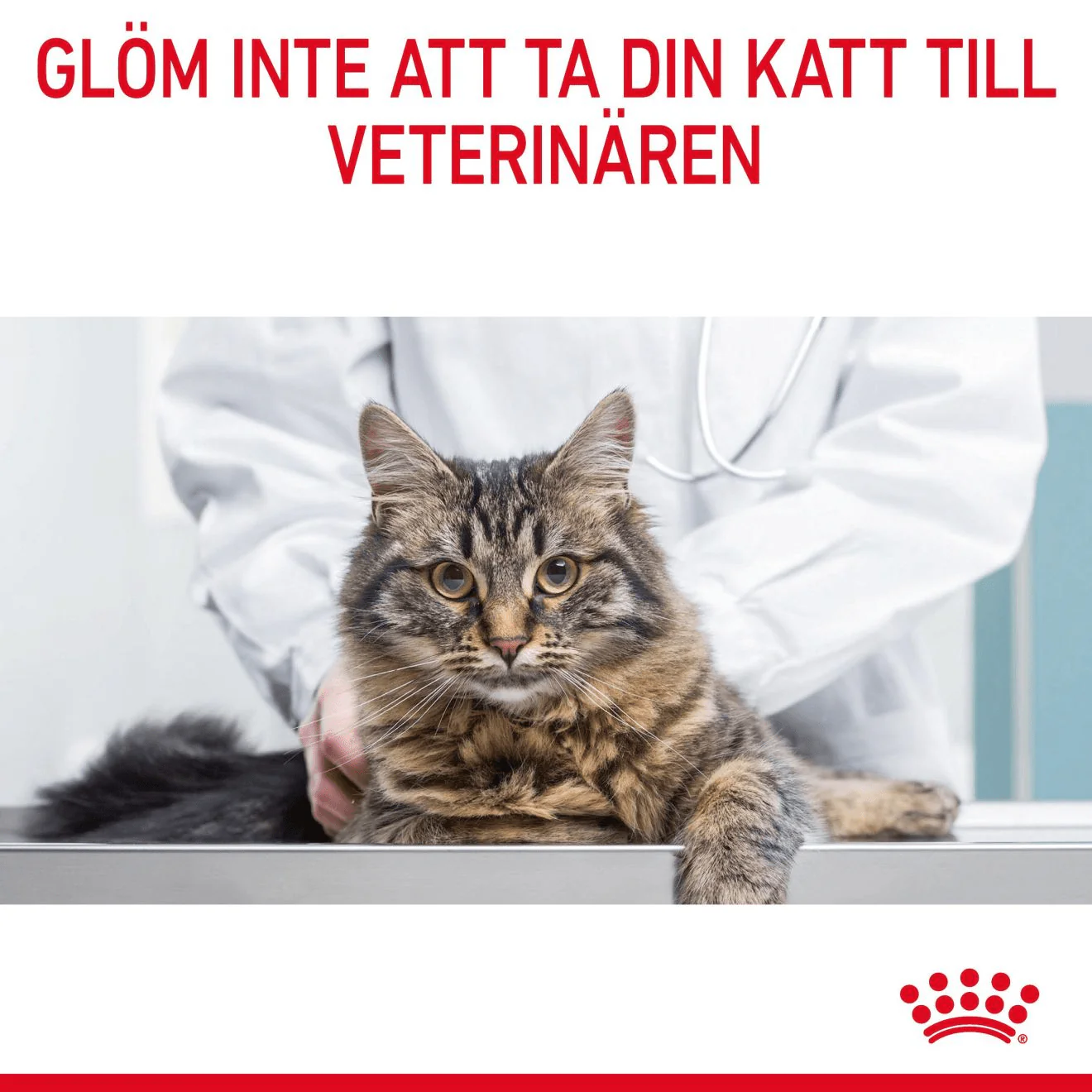 Royal Canin Light Weight Care - Image 11