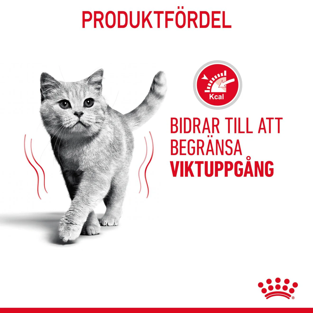 Royal Canin Light Weight Care - Image 4