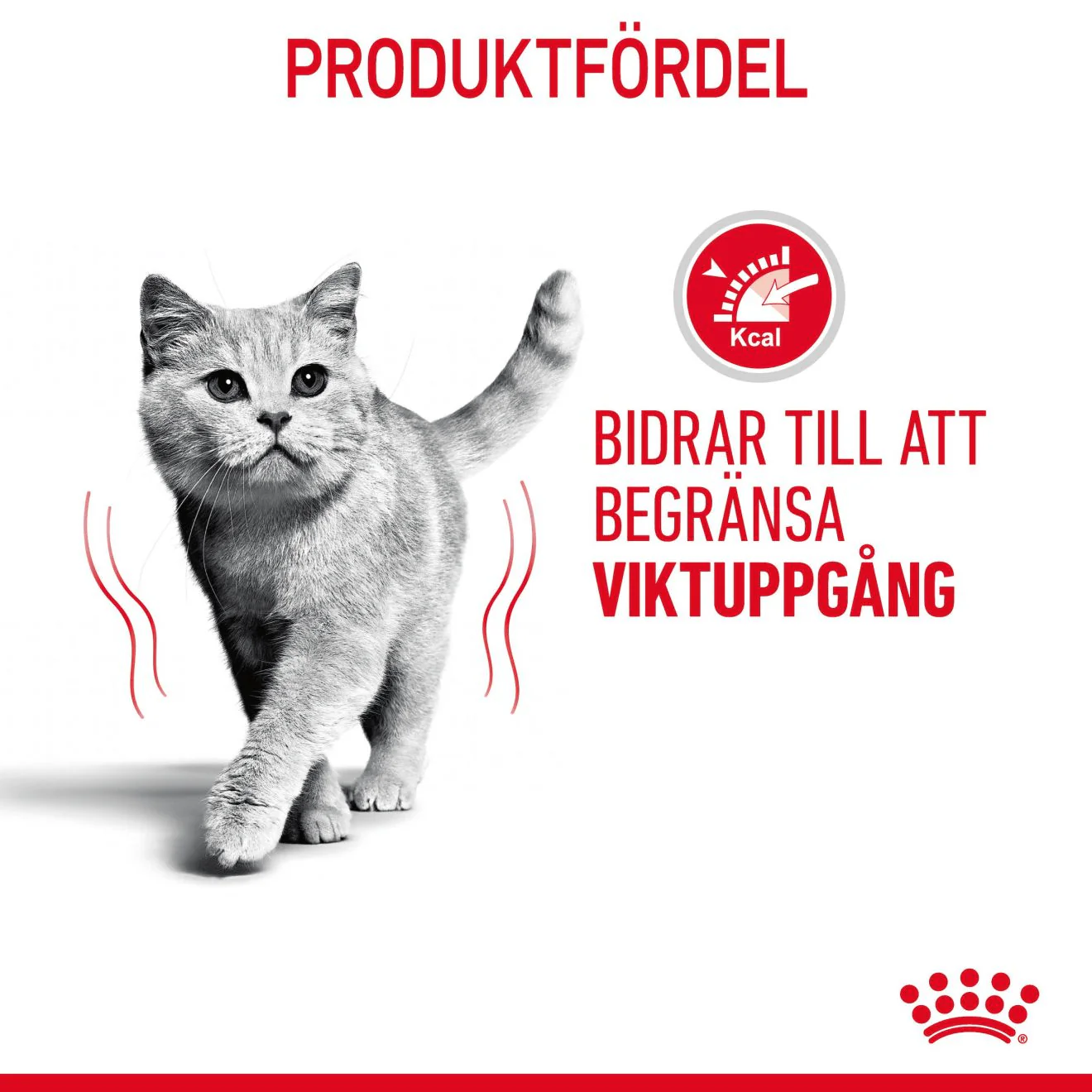 Royal Canin Light Weight Care Gravy - Image 3