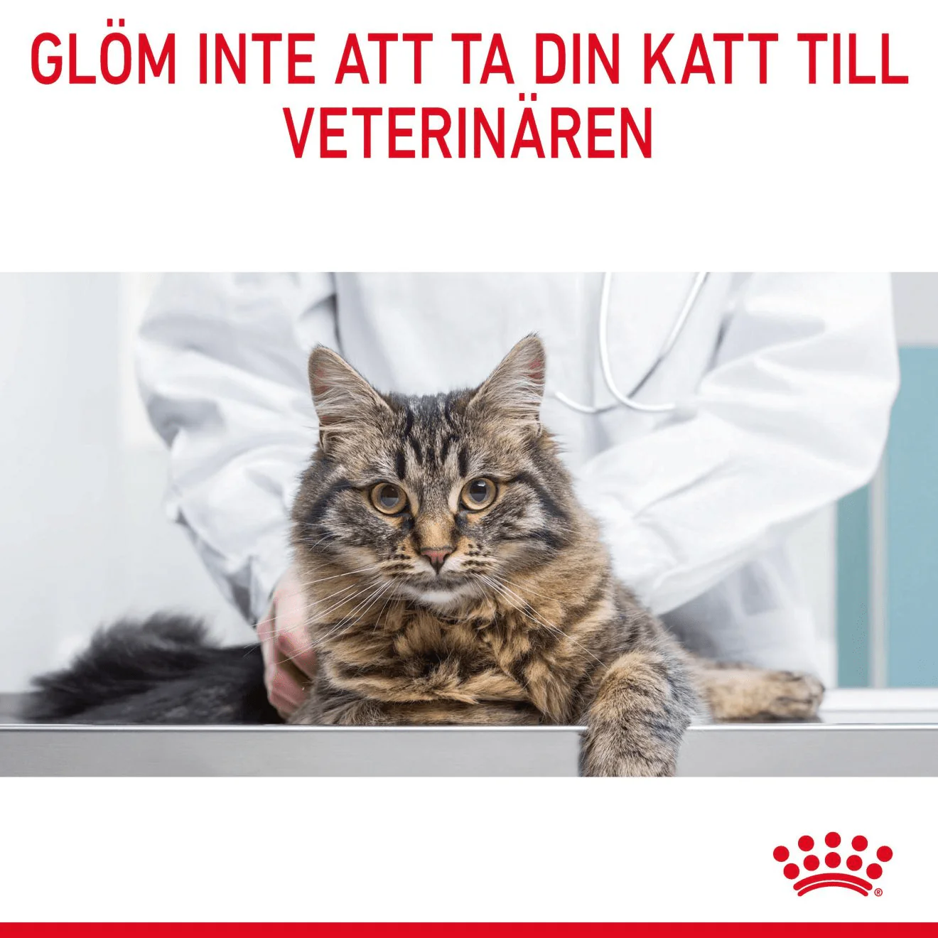 Royal Canin Light Weight Care Gravy - Image 9
