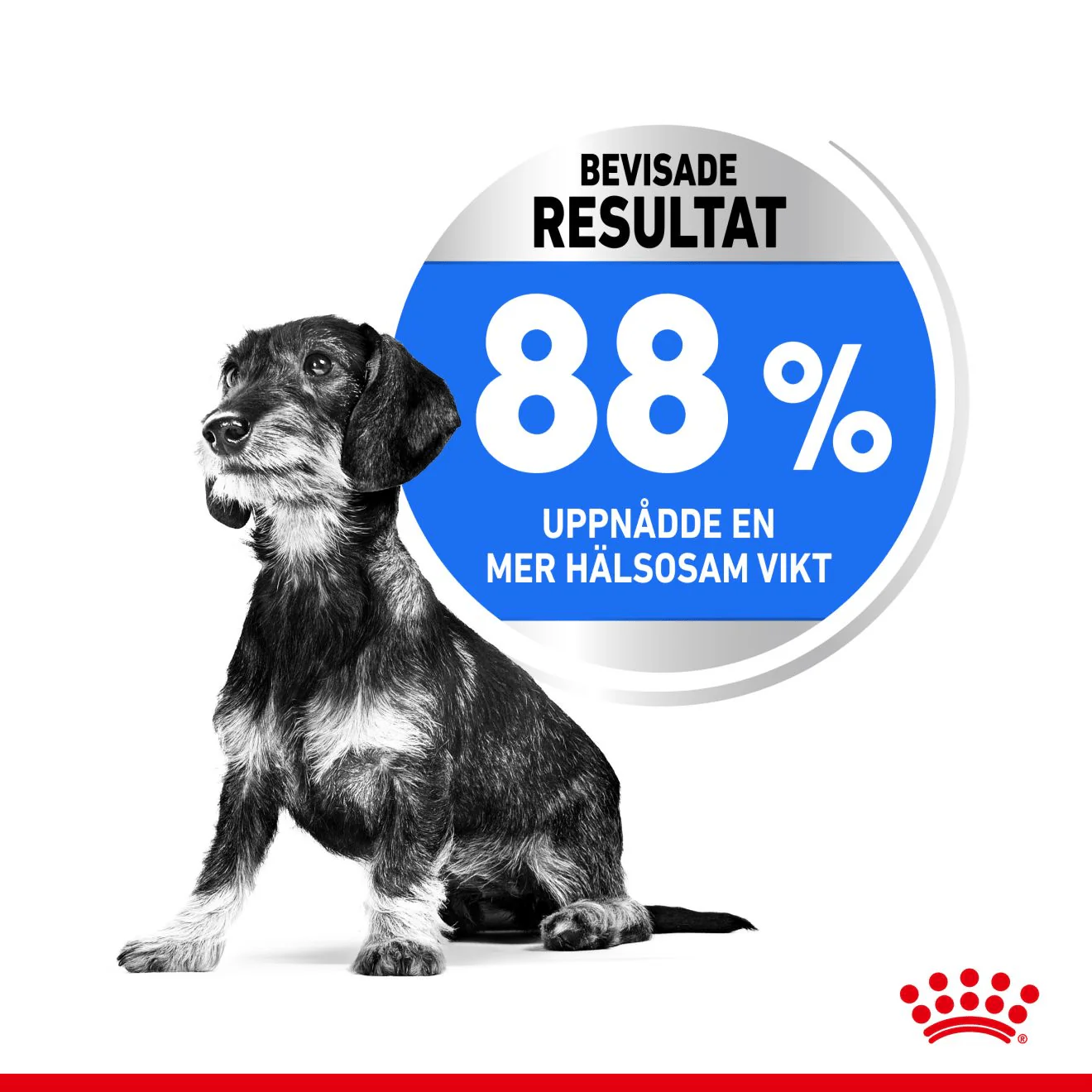 Royal Canin Light Weight Care Mini - Image 3
