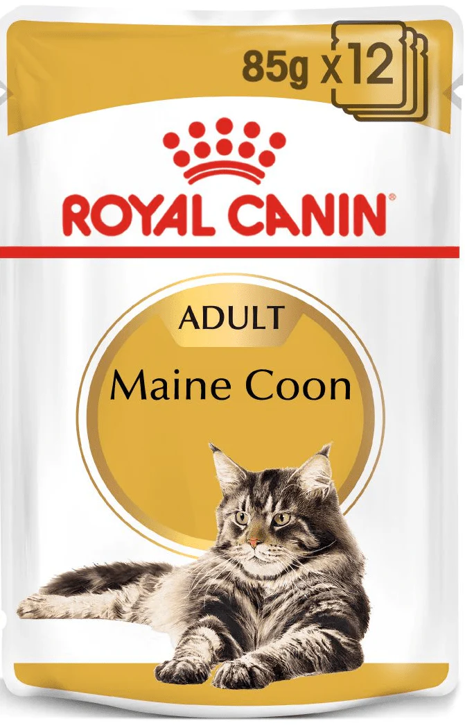 Royal Canin Maine Coon Adult Gravy