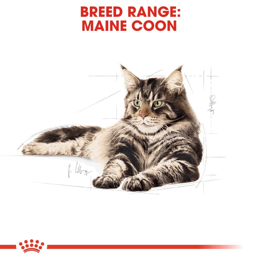 Royal Canin Maine Coon Adult Gravy - Image 2
