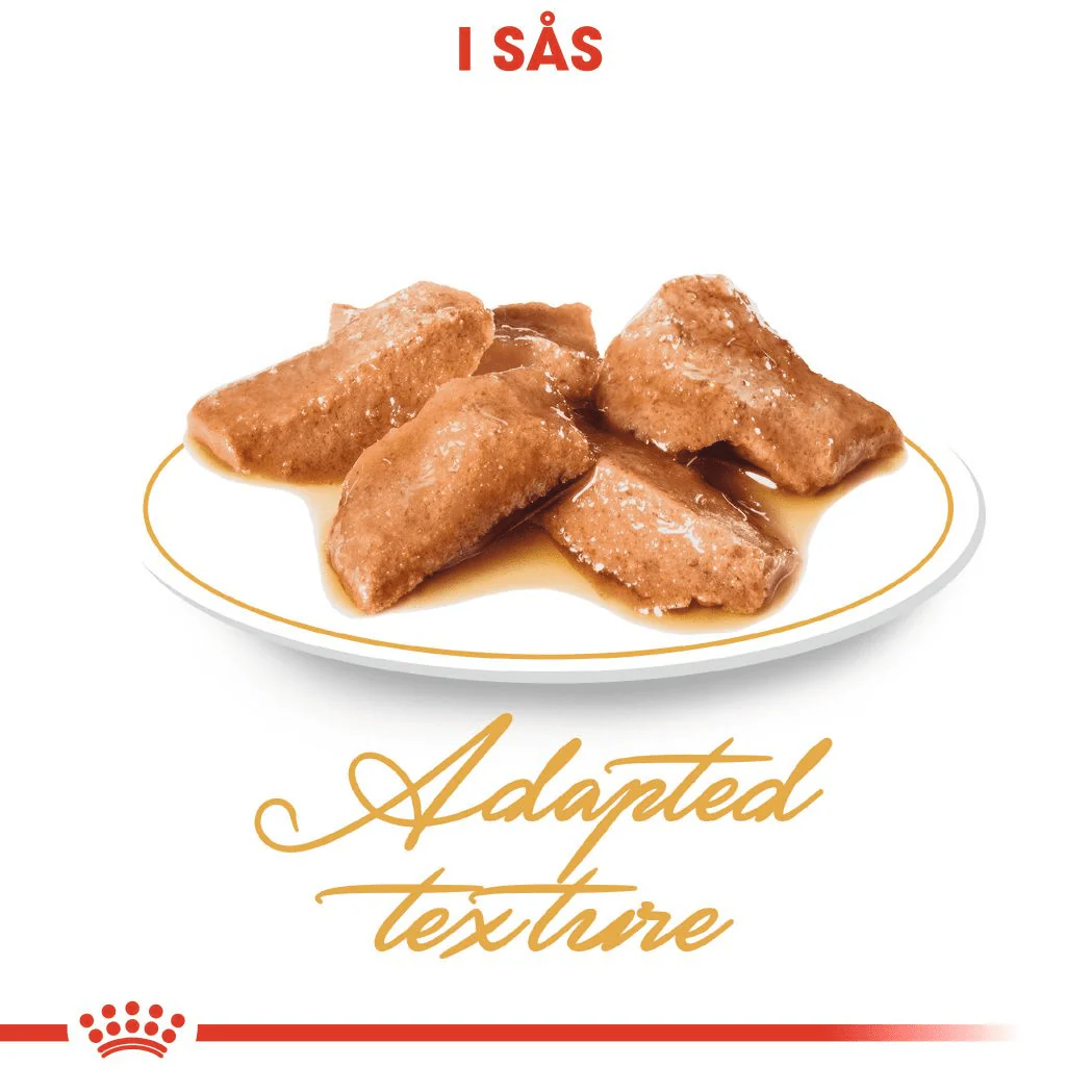 Royal Canin Maine Coon Adult Gravy - Image 3