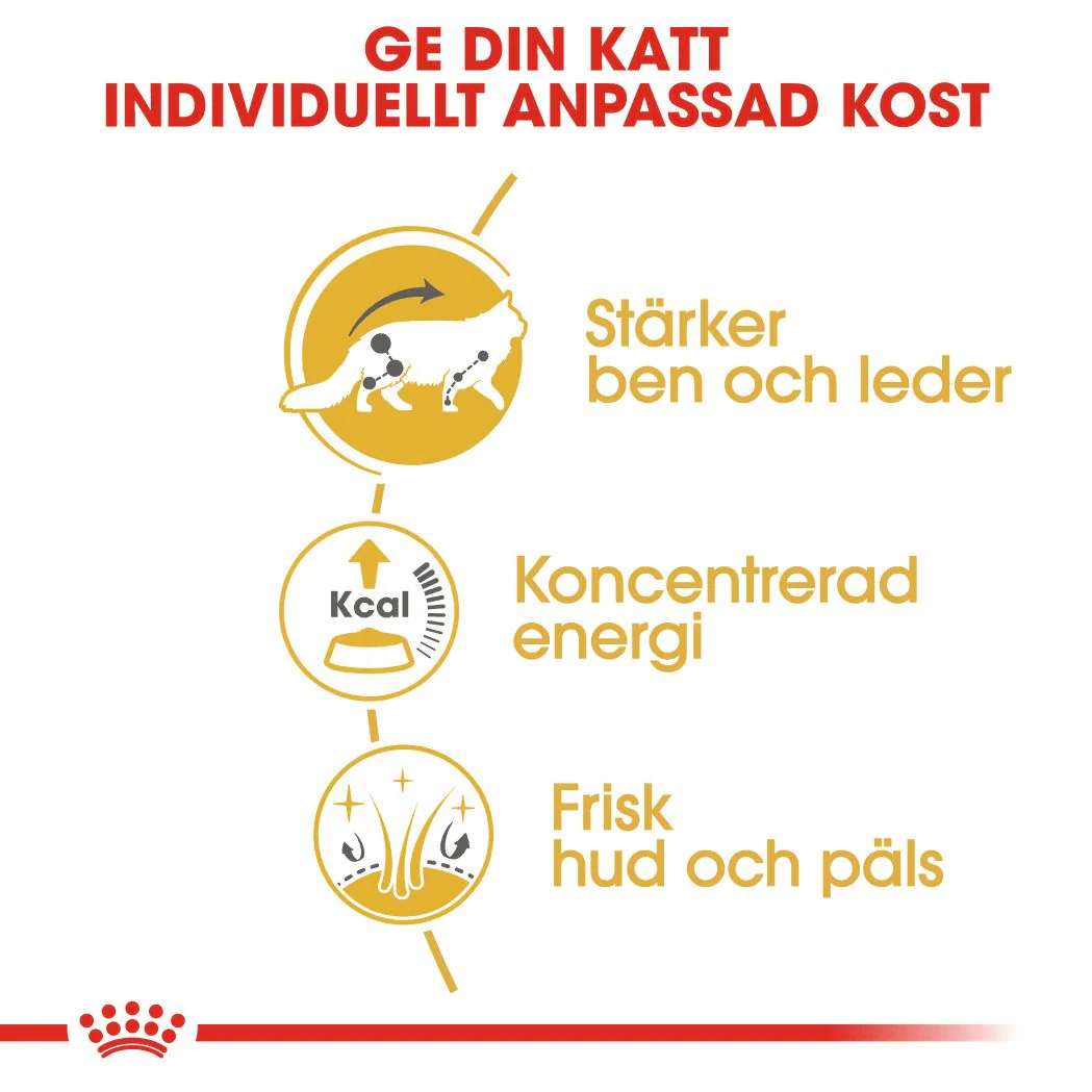 Royal Canin Maine Coon Adult Gravy - Image 4