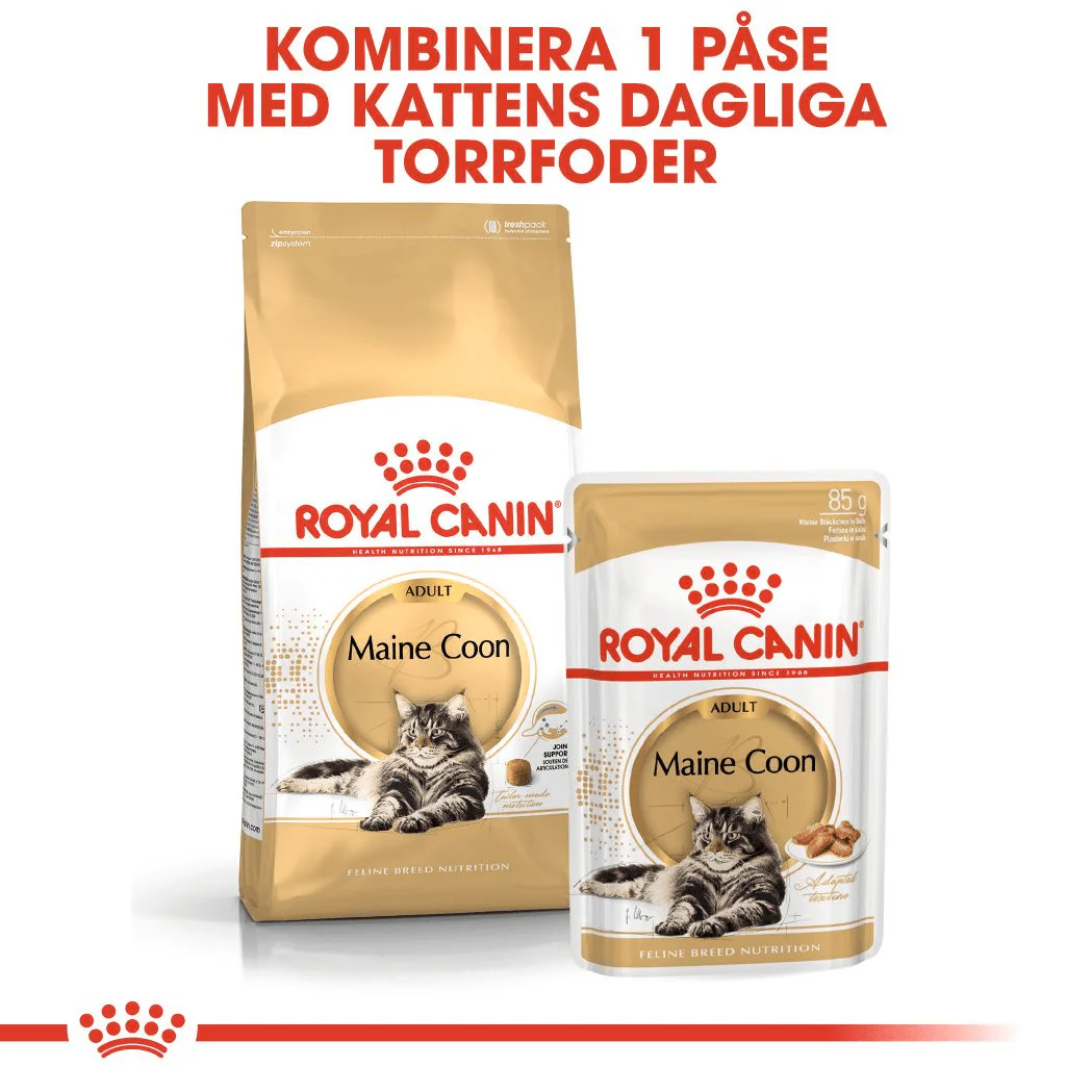 Royal Canin Maine Coon Adult Gravy - Image 5