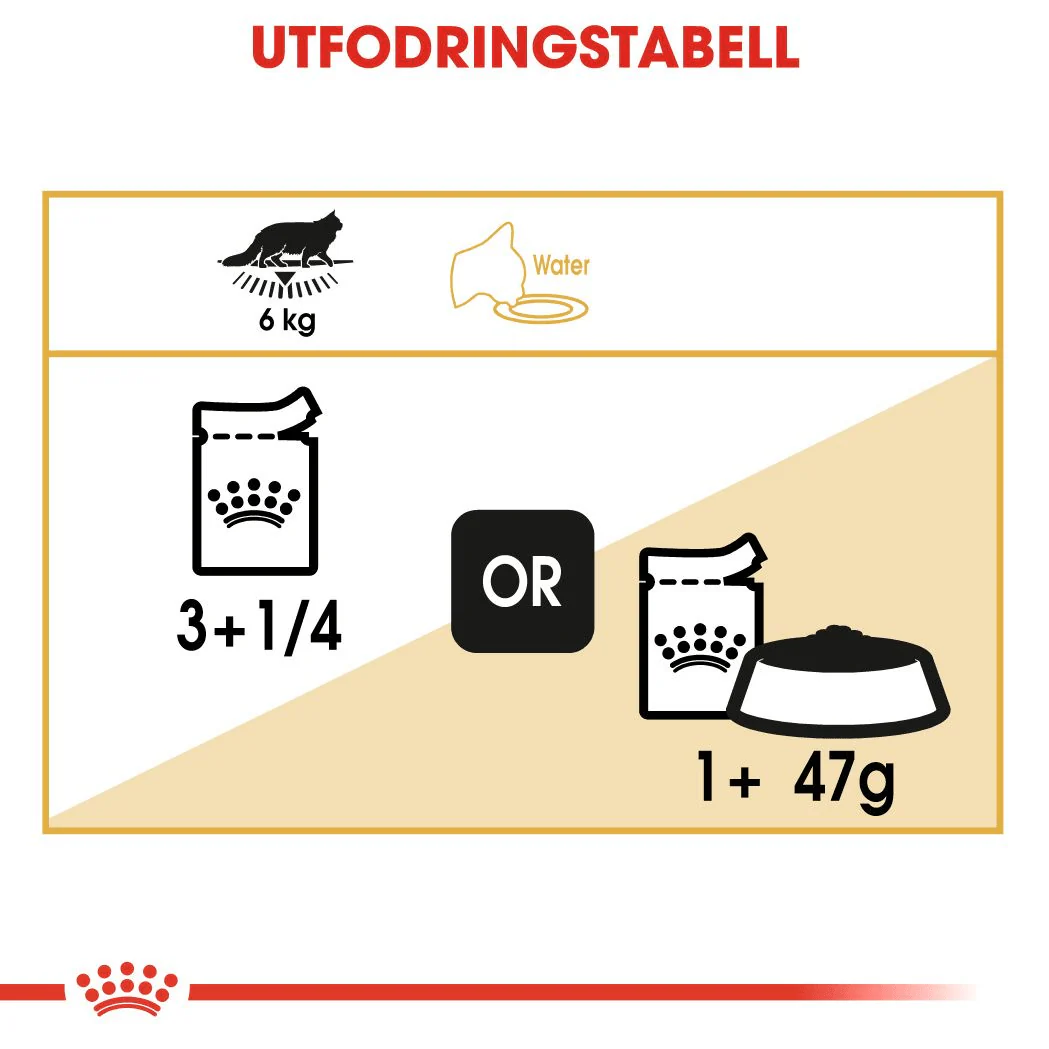 Royal Canin Maine Coon Adult Gravy - Image 6