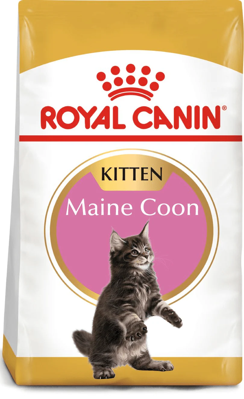 Royal Canin Maine Coon Kitten