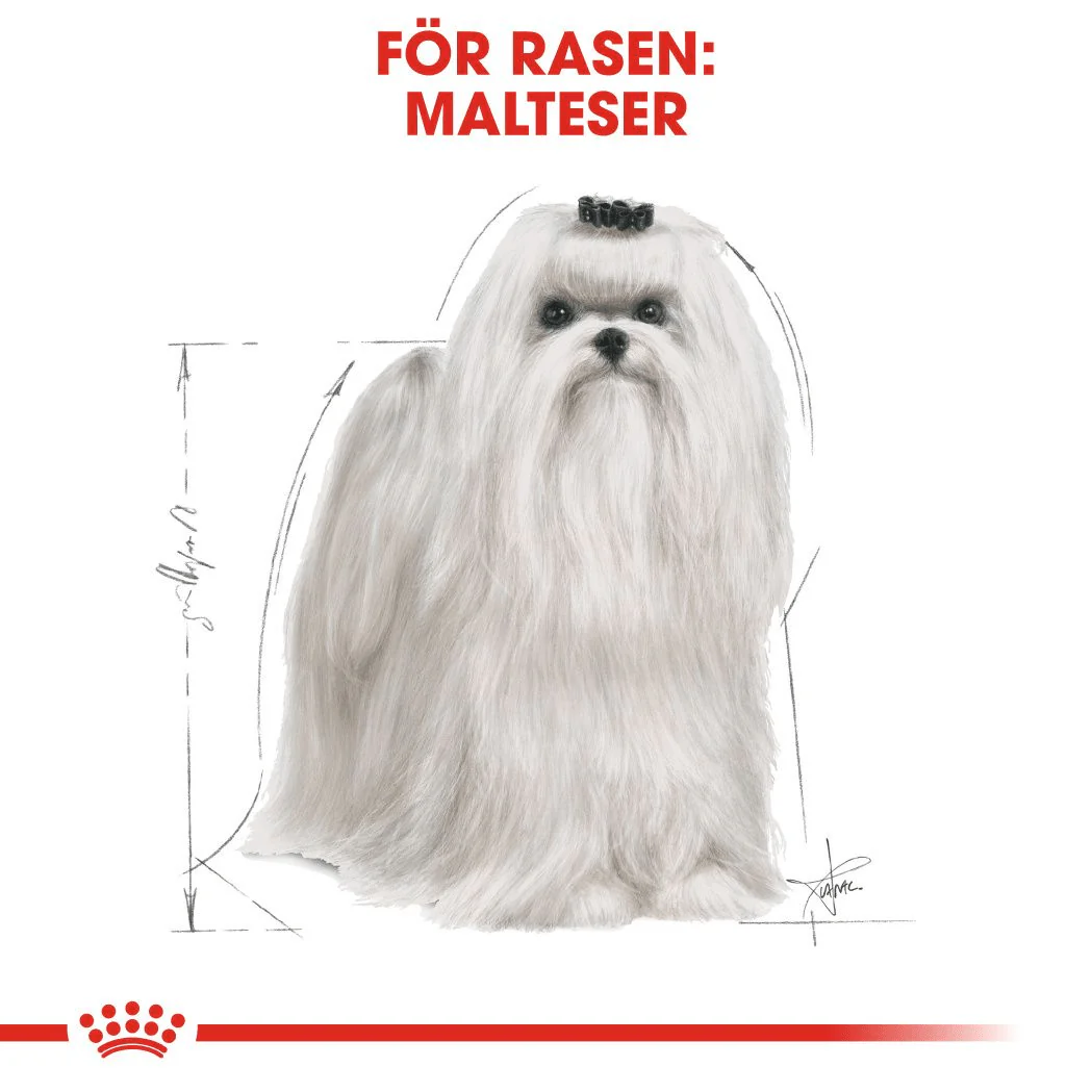 Royal Canin Maltese Adult - Image 2