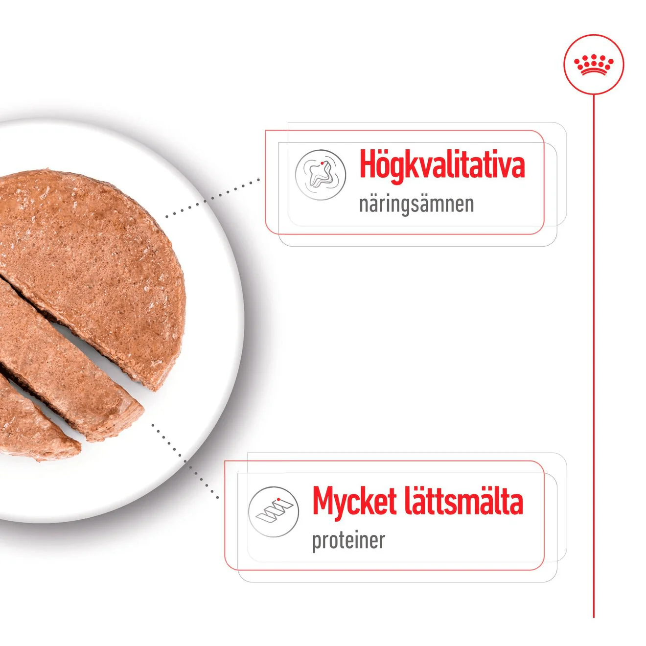 Royal Canin Maxi Adult Loaf Can - Image 3