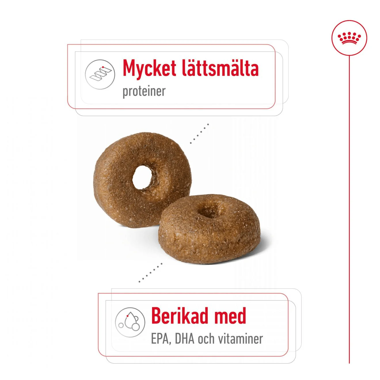 Royal Canin Maxi Ageing 8+ - Image 3