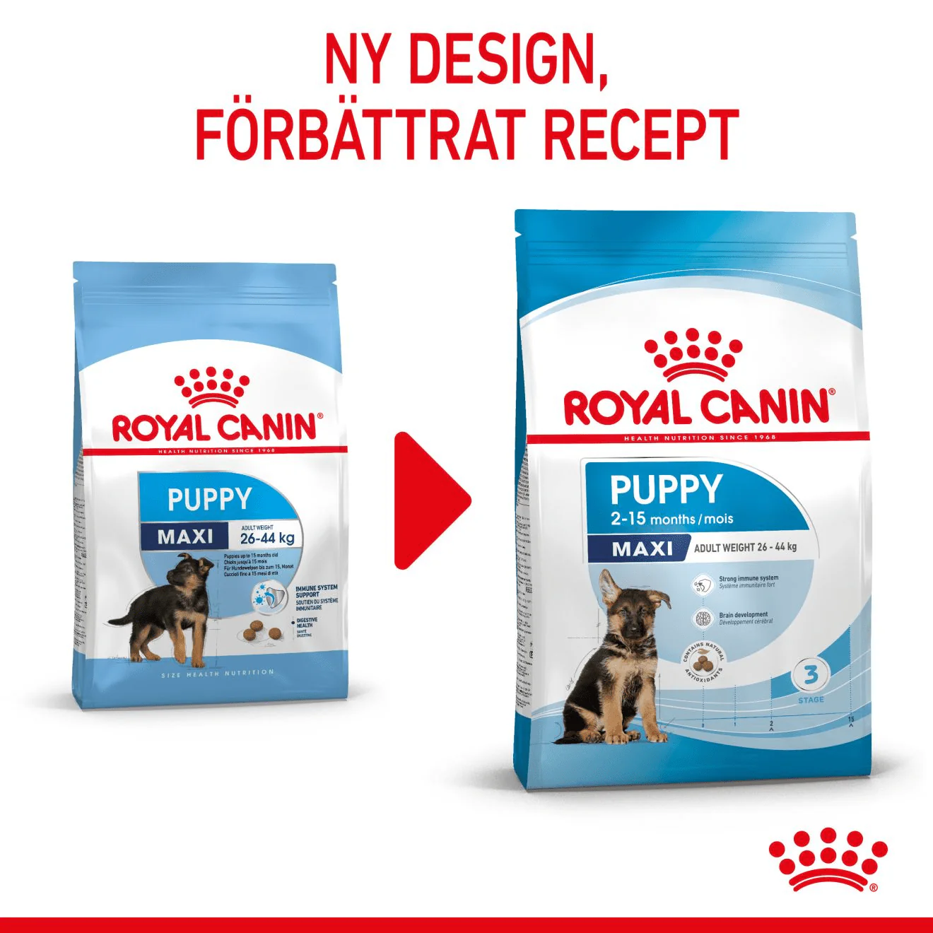 Royal Canin Maxi Puppy - Image 2