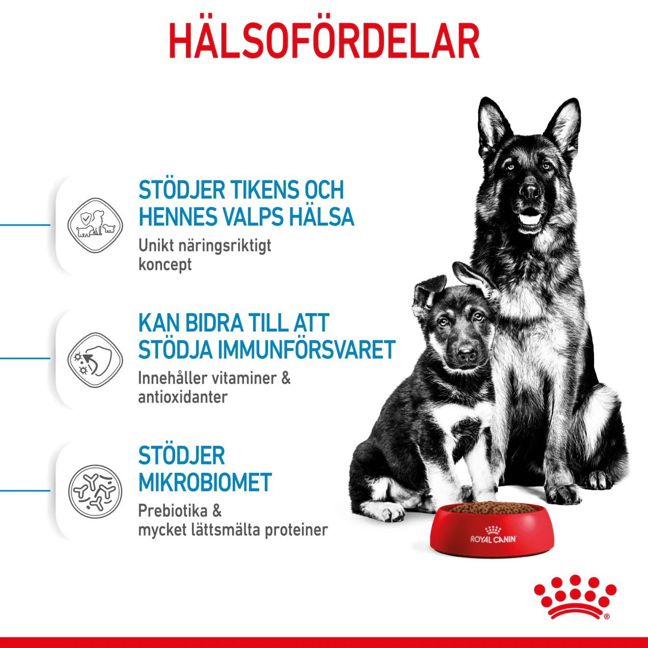 Royal Canin Maxi Starter Mother & Babydog - Image 4