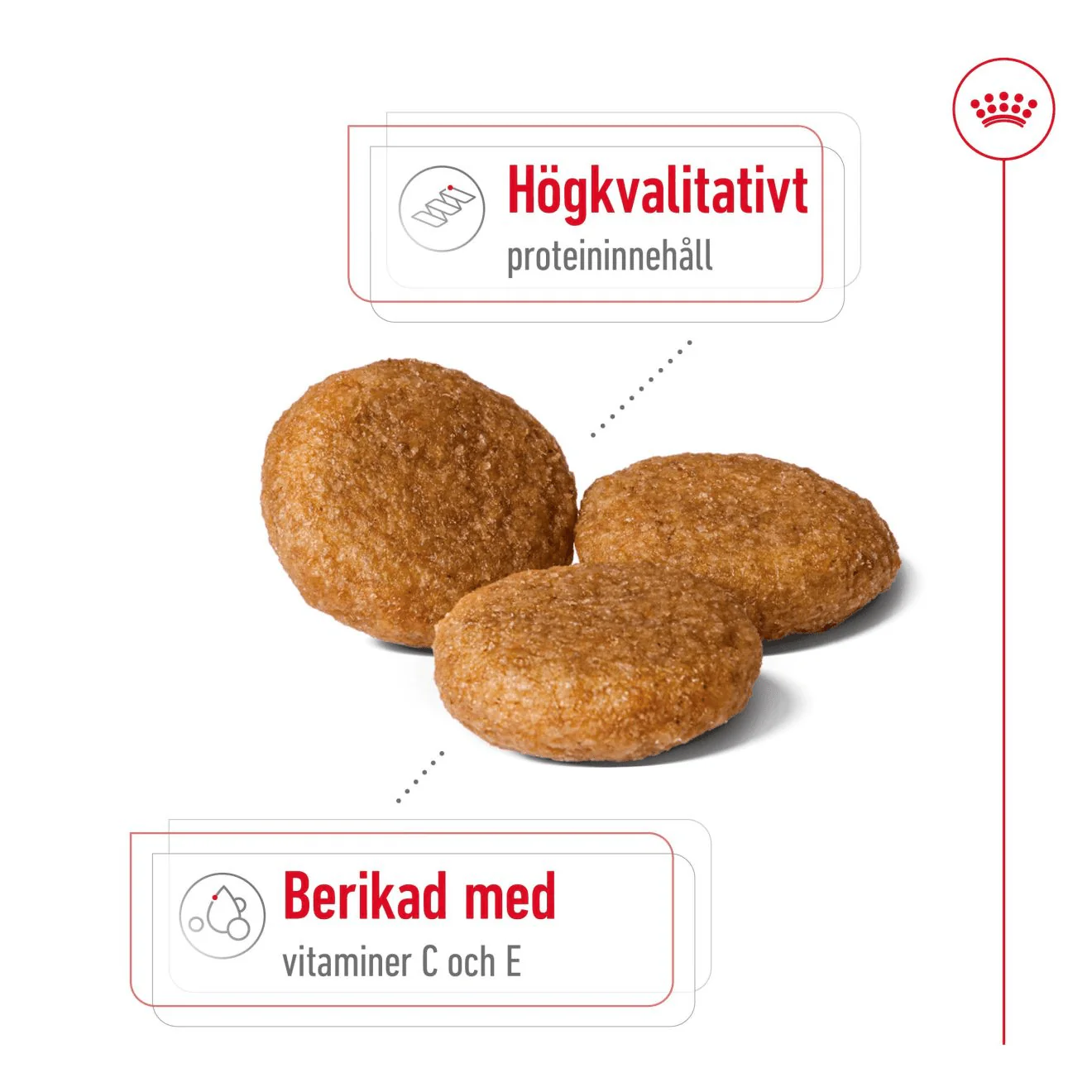 Royal Canin Medium Adult - Image 3