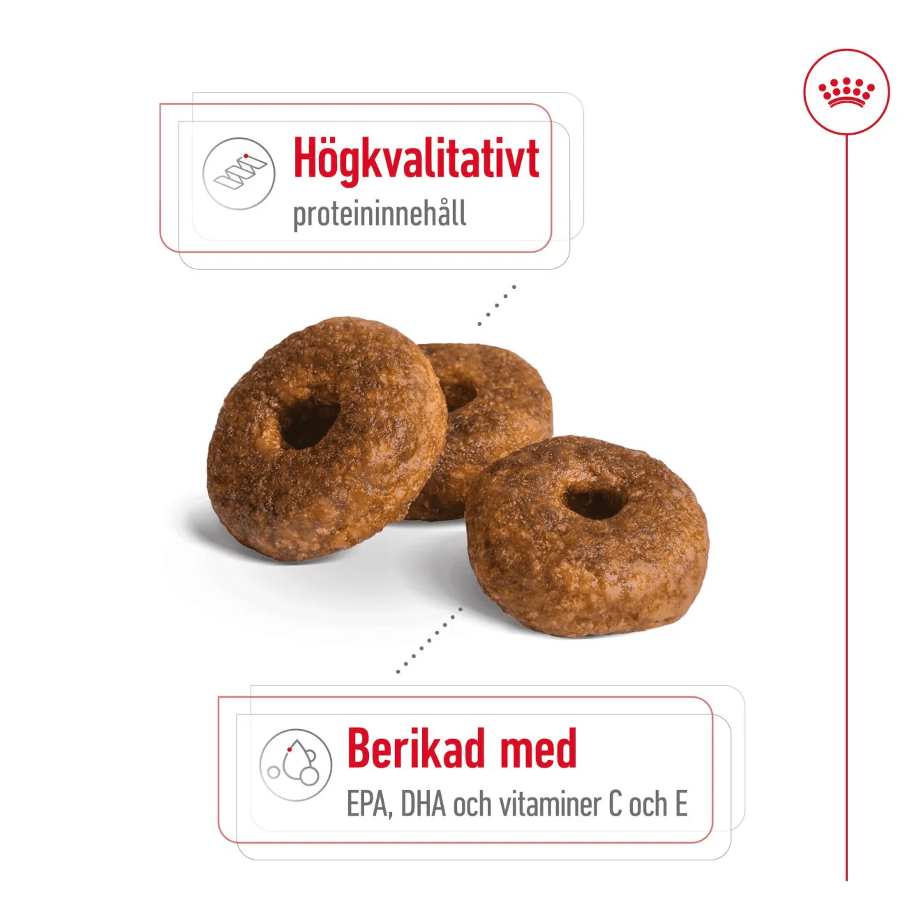 Royal Canin Medium Ageing 10+ - Image 3