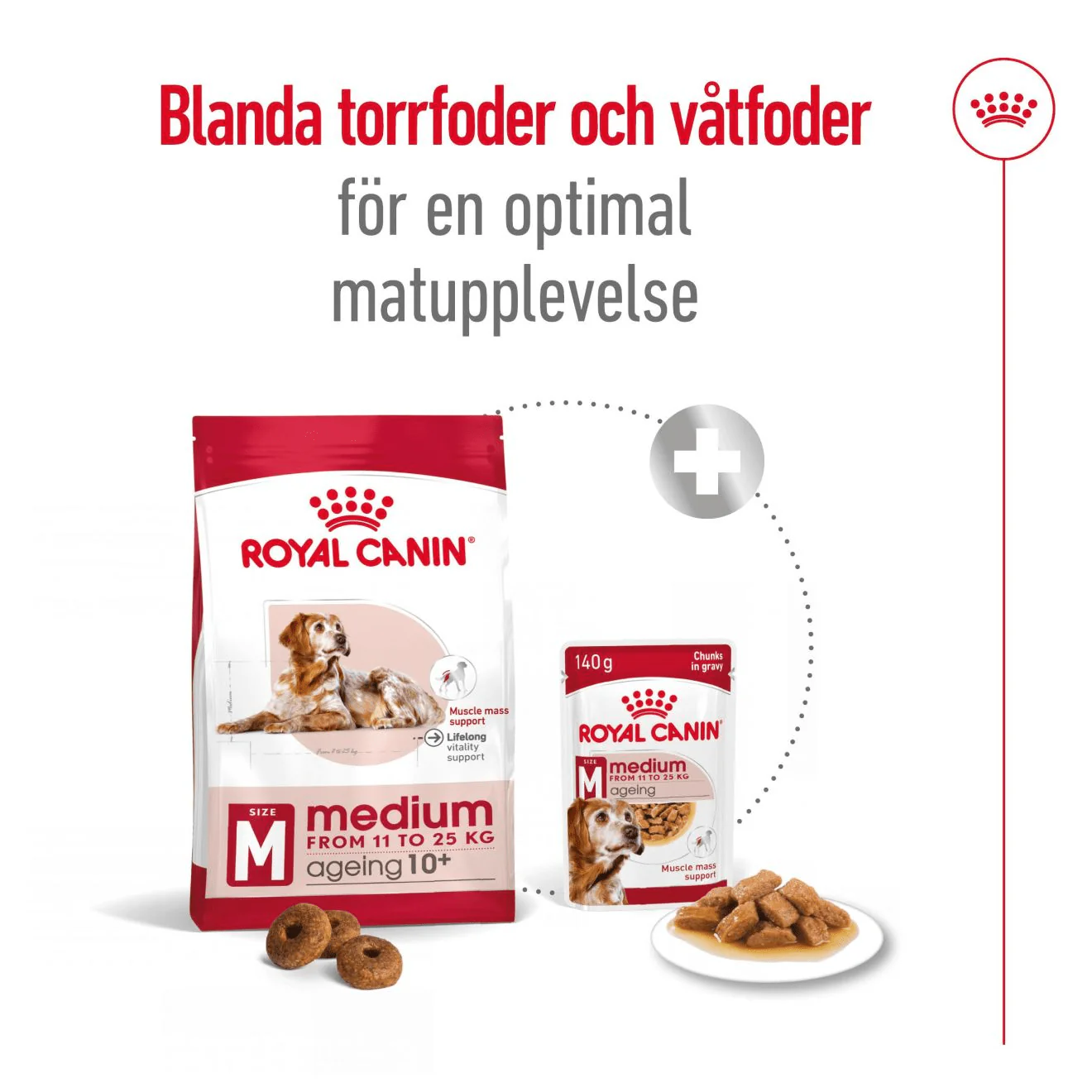 Royal Canin Medium Ageing 10+ - Image 5