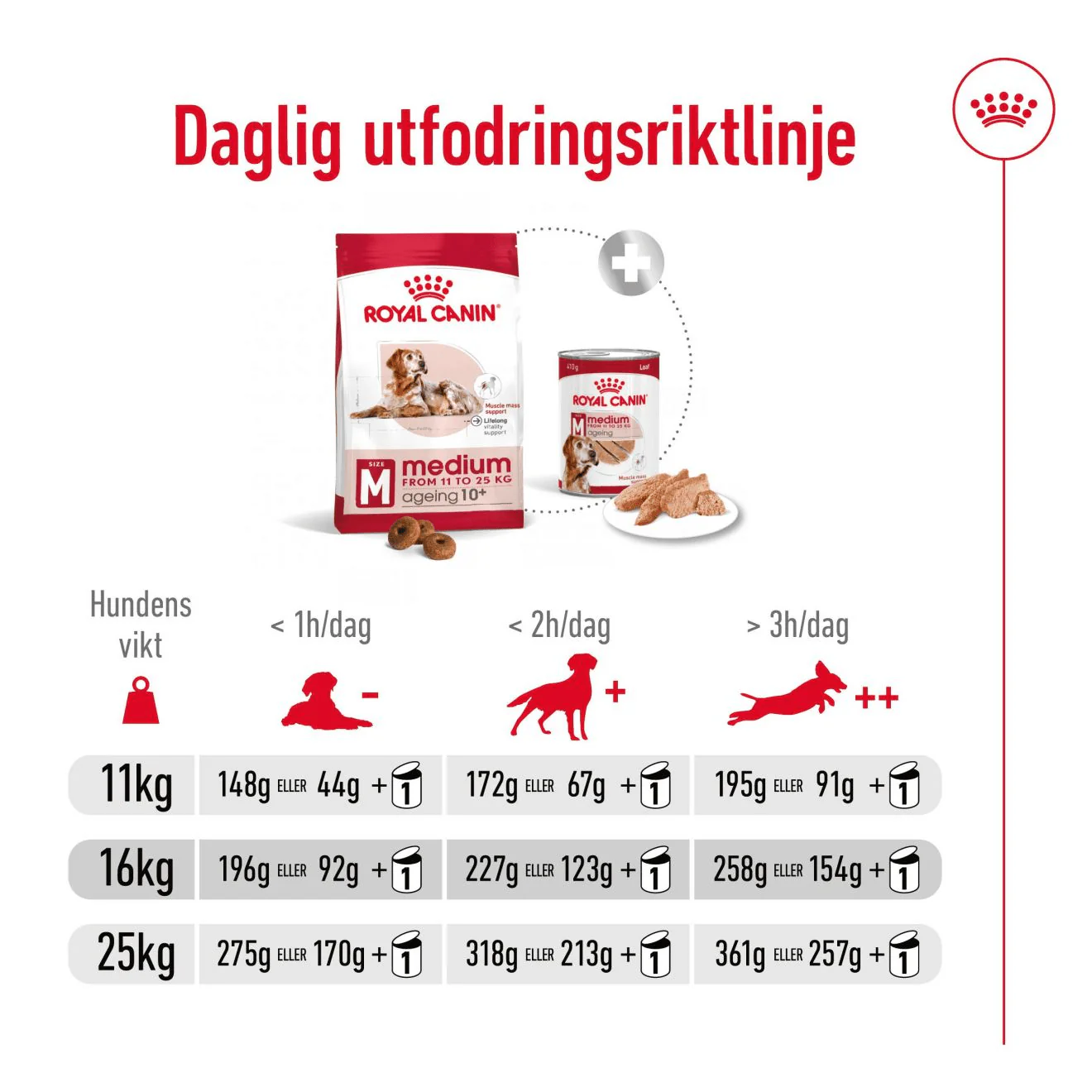 Royal Canin Medium Ageing 10+ - Image 7