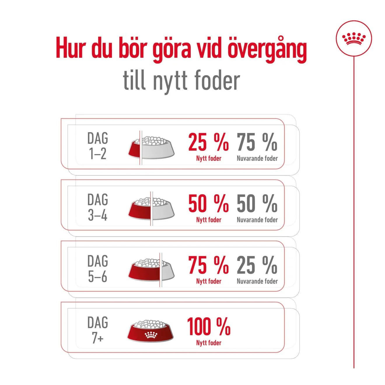 Royal Canin Medium Ageing 10+ - Image 8