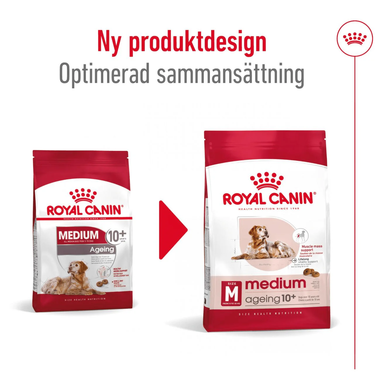 Royal Canin Medium Ageing 10+ - Image 9