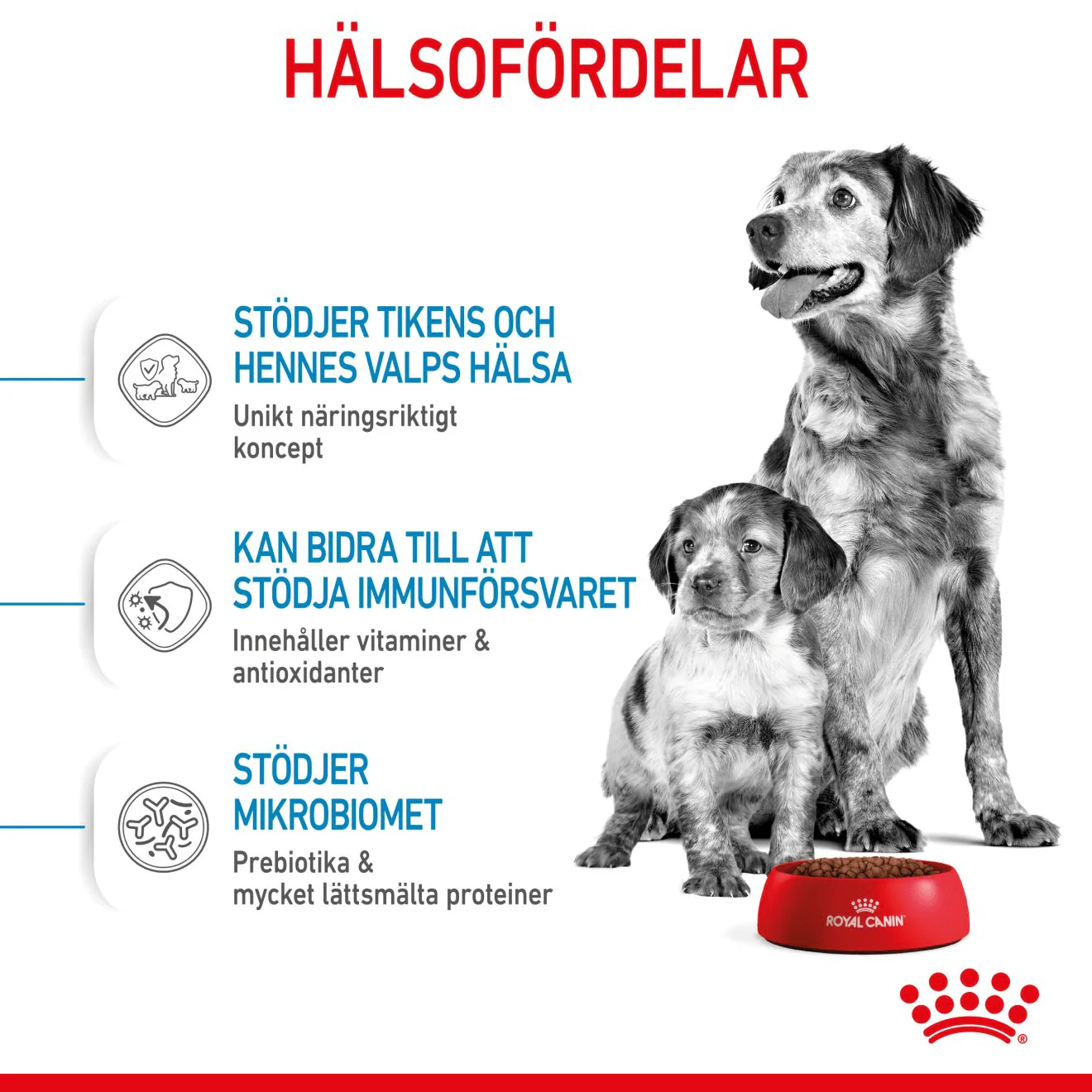 Royal Canin Medium Starter Mother & Babydog - Image 3