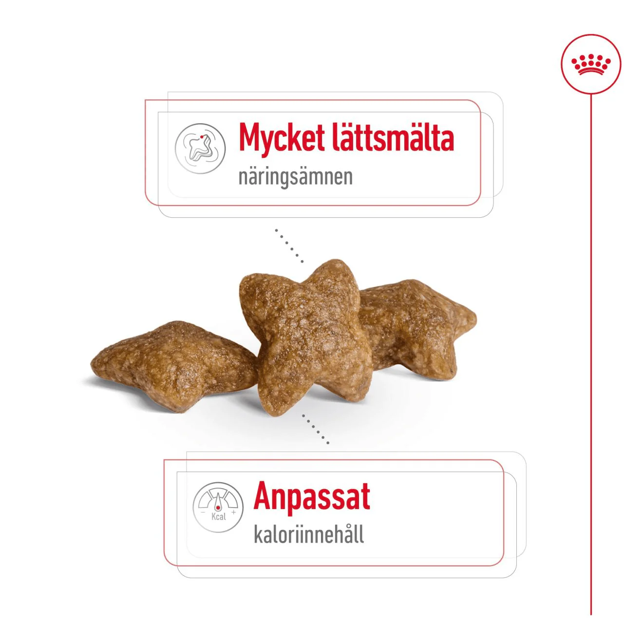 Royal Canin Mini Adult - Image 4