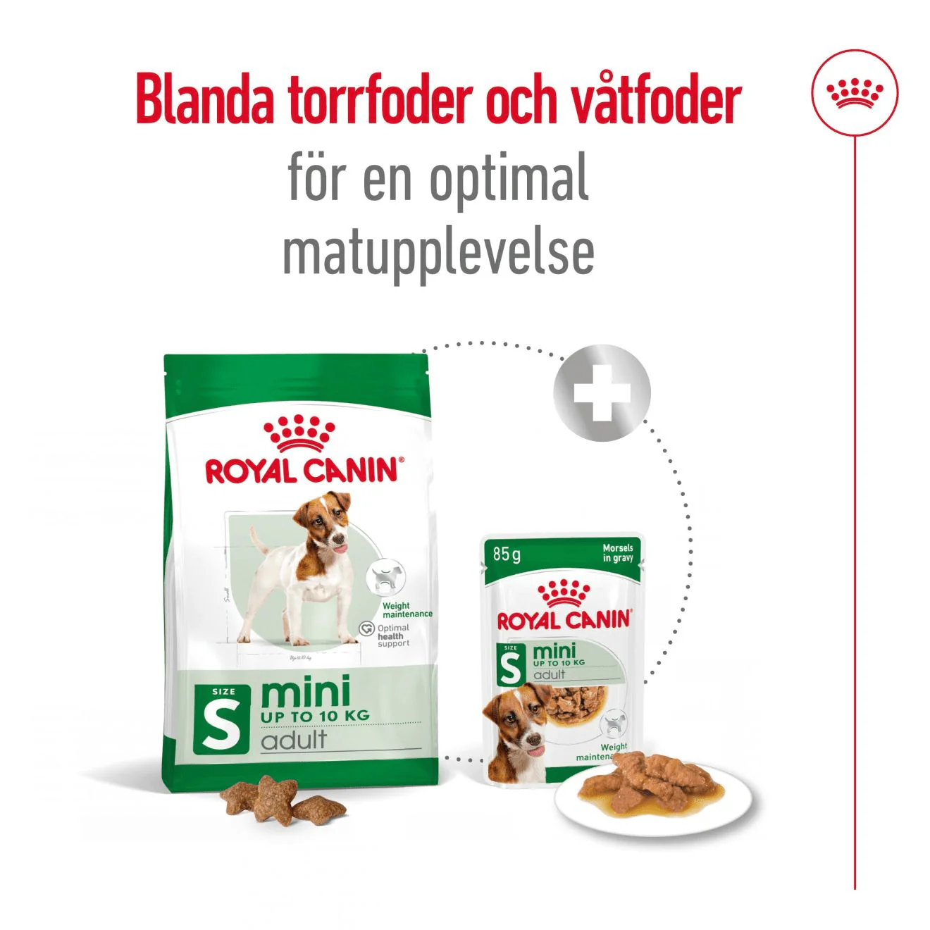 Royal Canin Mini Adult - Image 7