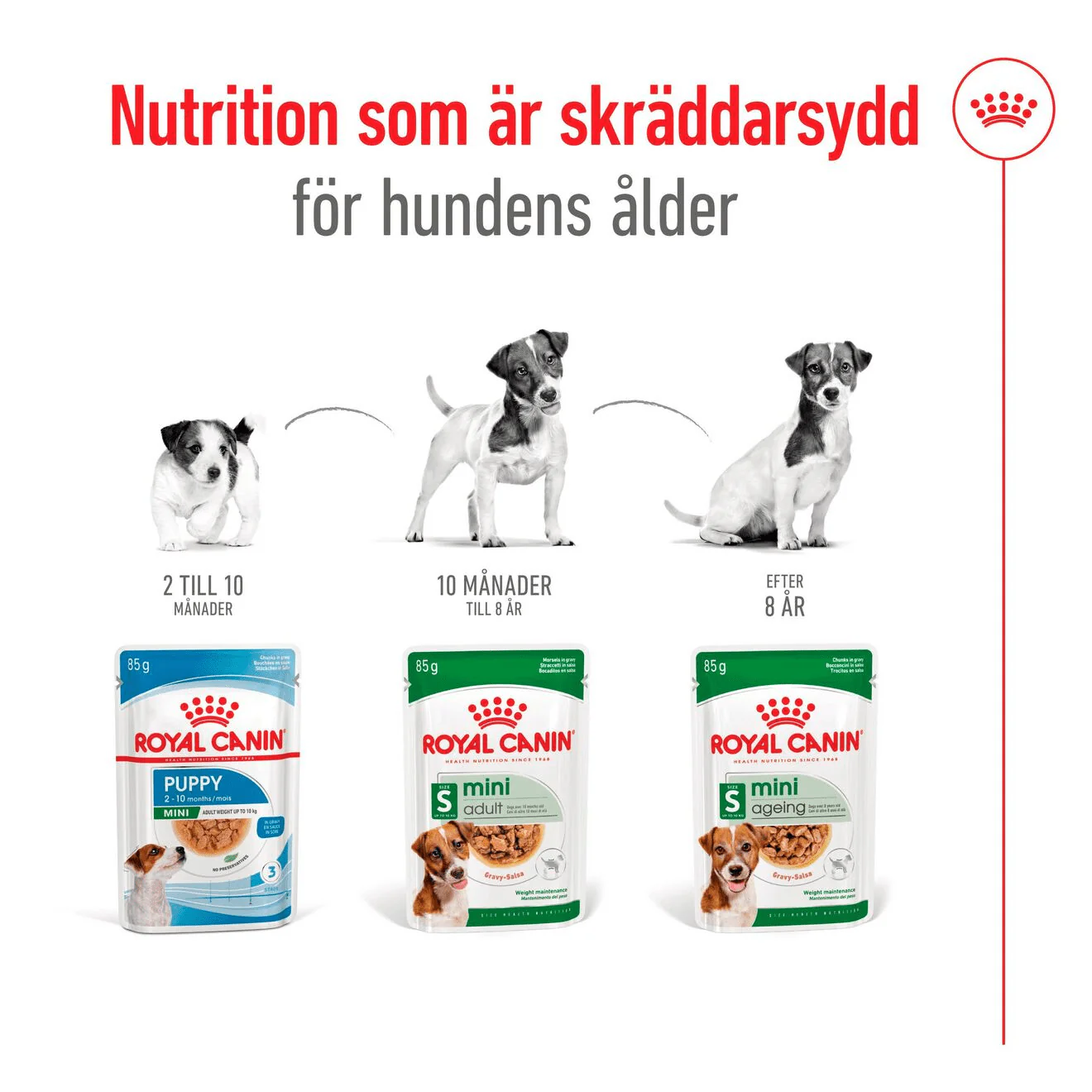 Royal Canin Mini Adult Gravy - Image 4