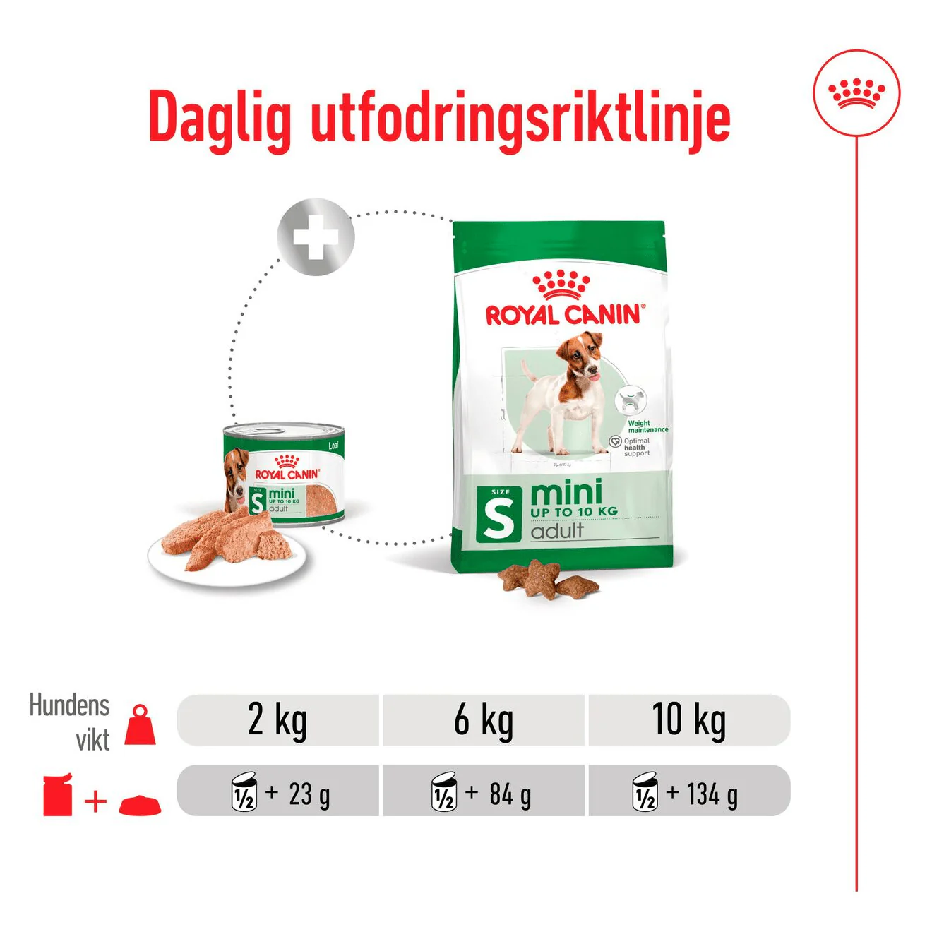 Royal Canin Mini Adult Loaf Can - Image 6