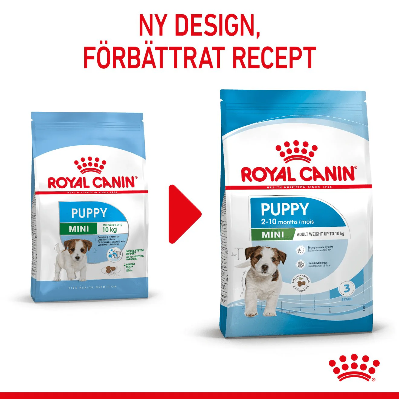 Royal Canin Mini Puppy - Image 2
