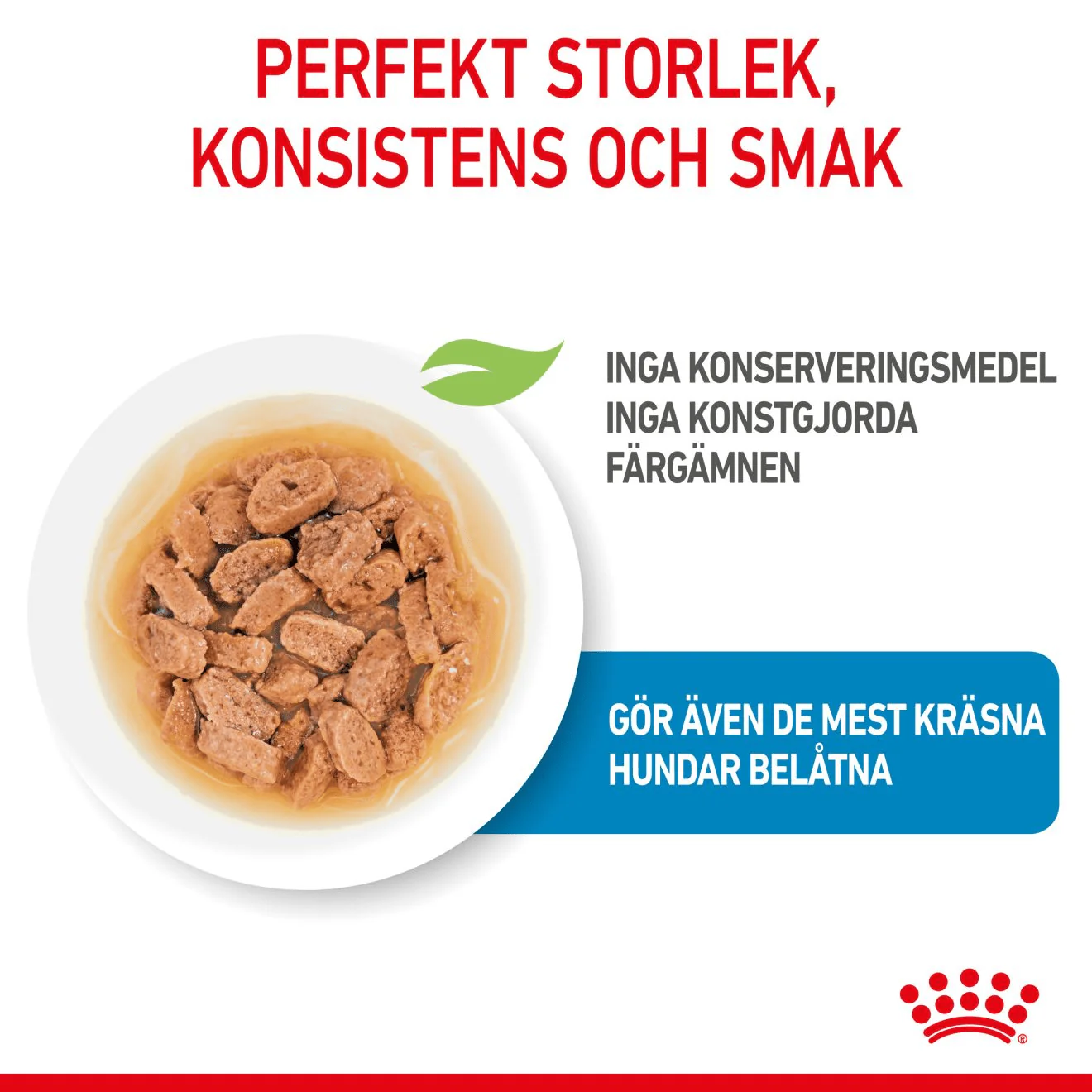 Royal Canin Mini Puppy Gravy - Image 3