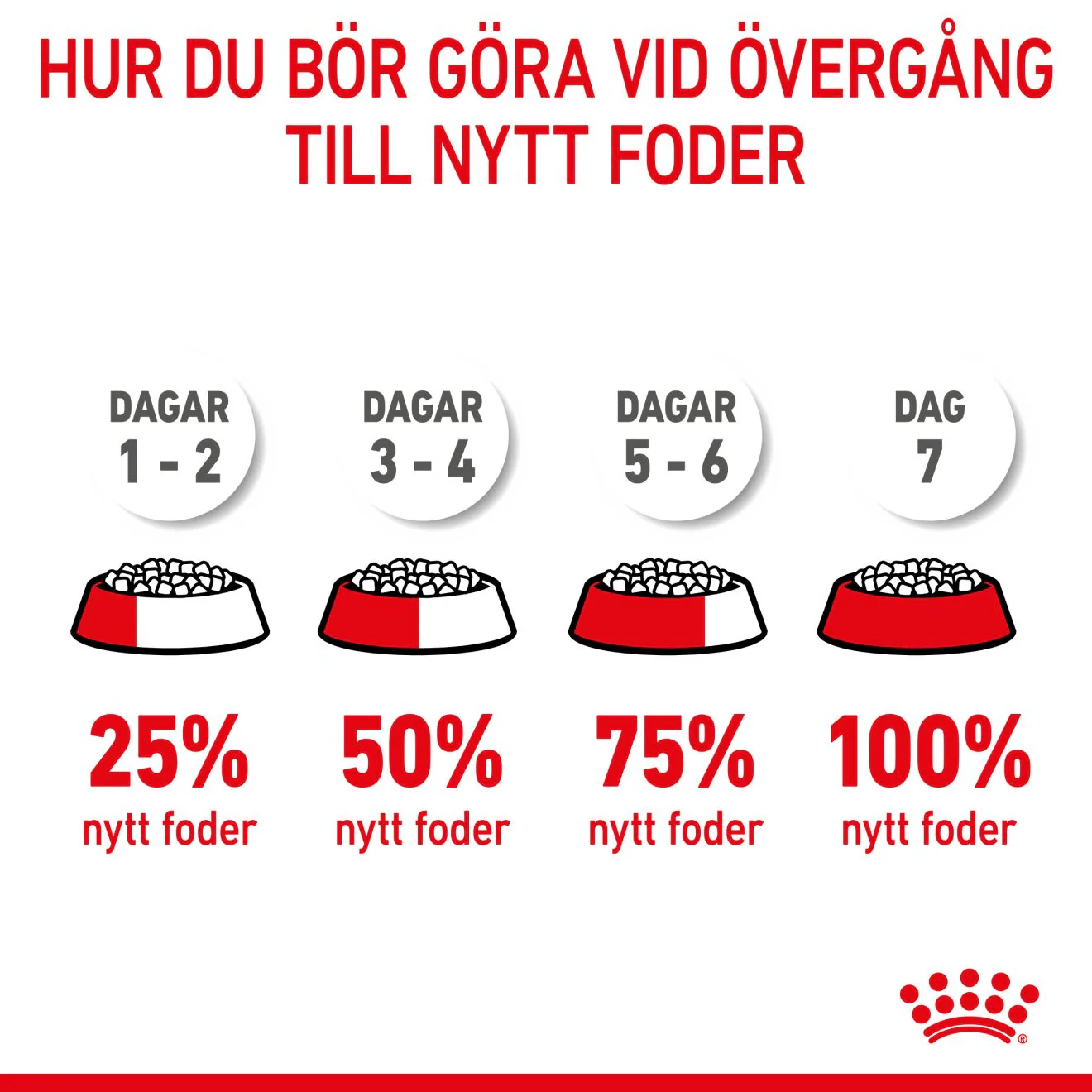 Royal Canin Mini Starter Mother & Babydog - Image 10