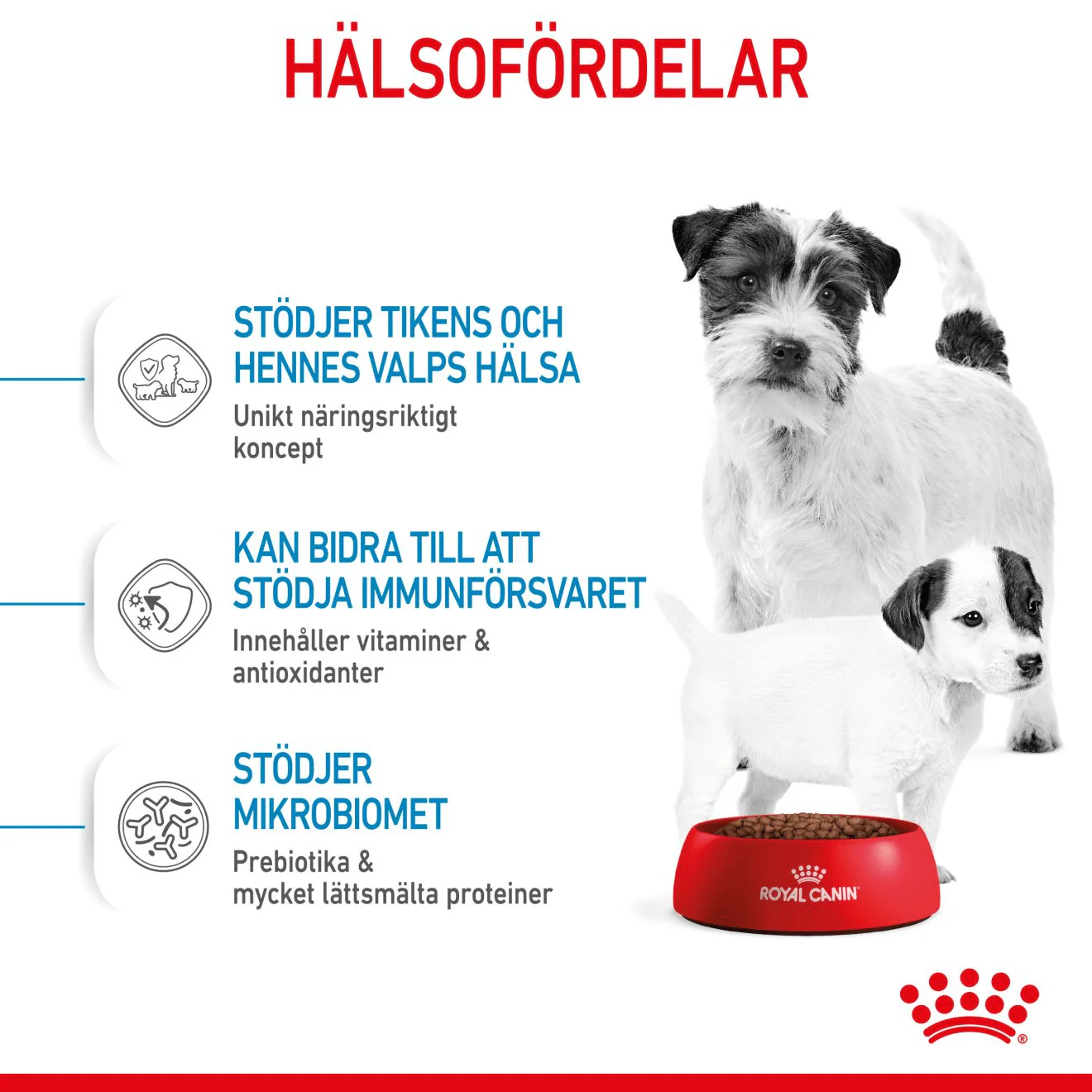 Royal Canin Mini Starter Mother & Babydog - Image 5