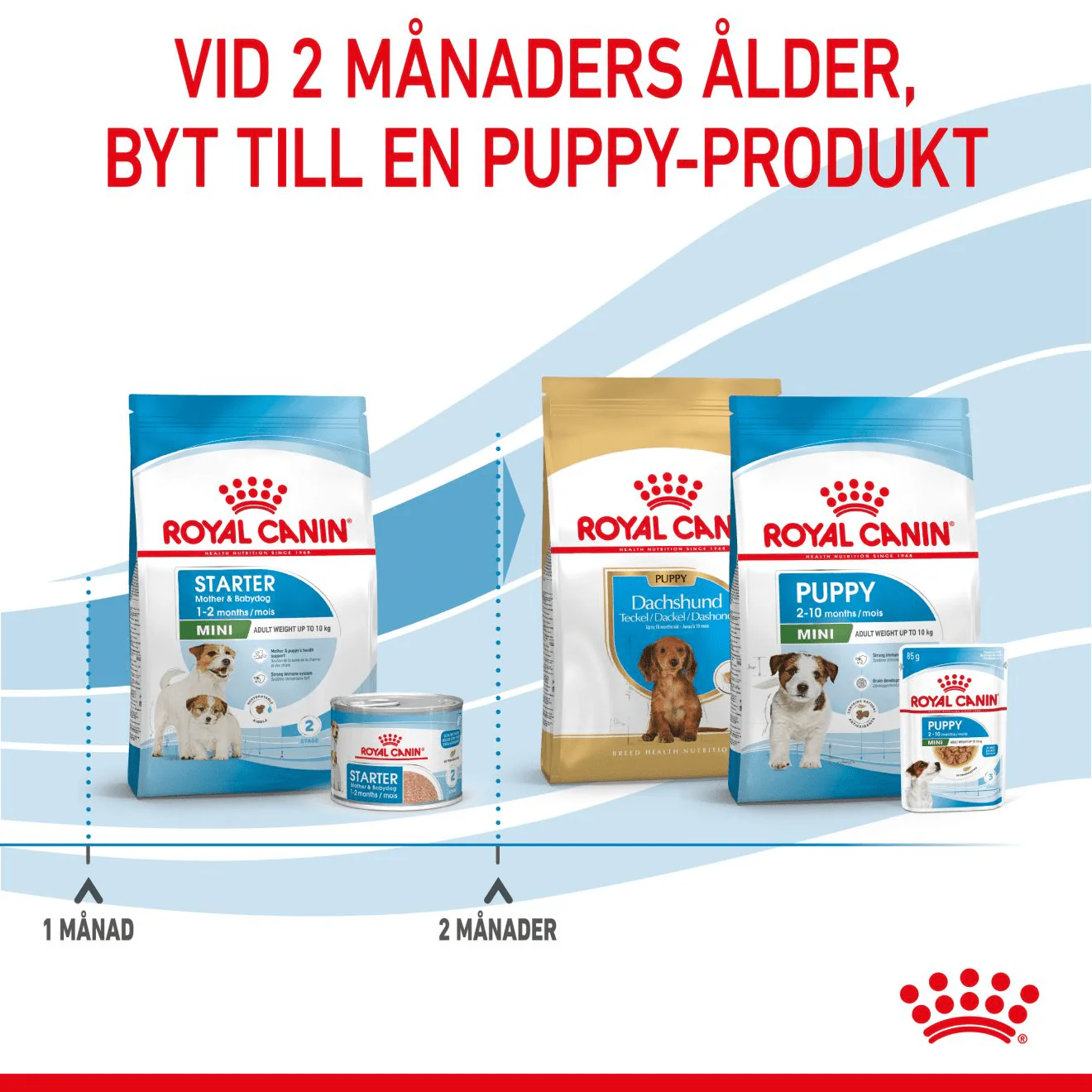 Royal Canin Mini Starter Mother & Babydog - Image 7