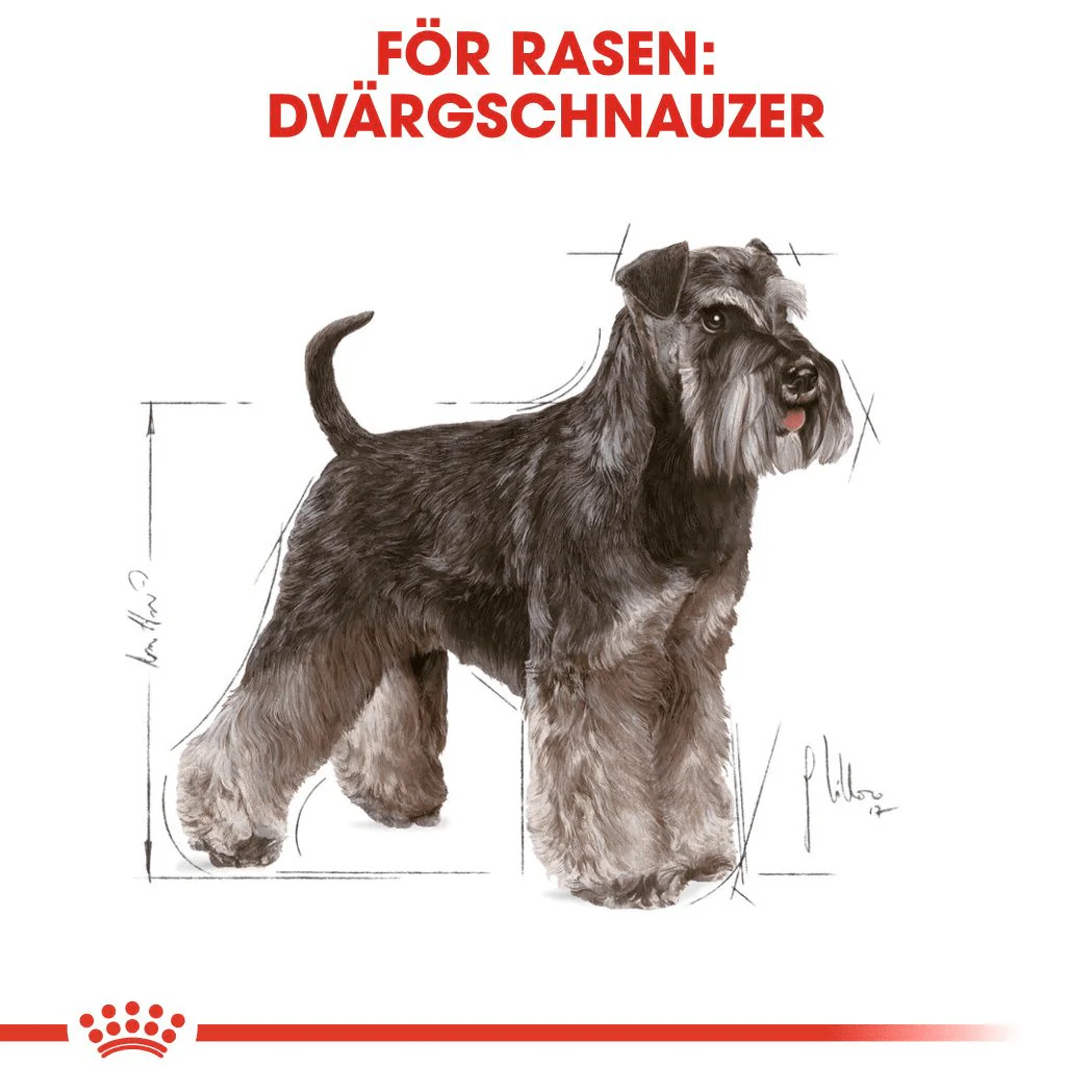 Royal Canin Miniature Schnauzer Adult - Image 2