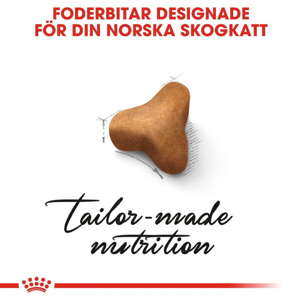 Royal Canin Norwegian Forest Cat Adult - Image 3
