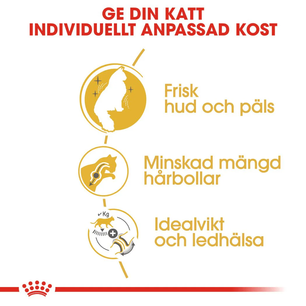 Royal Canin Norwegian Forest Cat Adult - Image 4