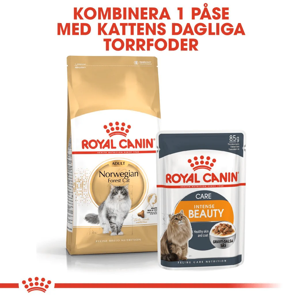 Royal Canin Norwegian Forest Cat Adult - Image 5