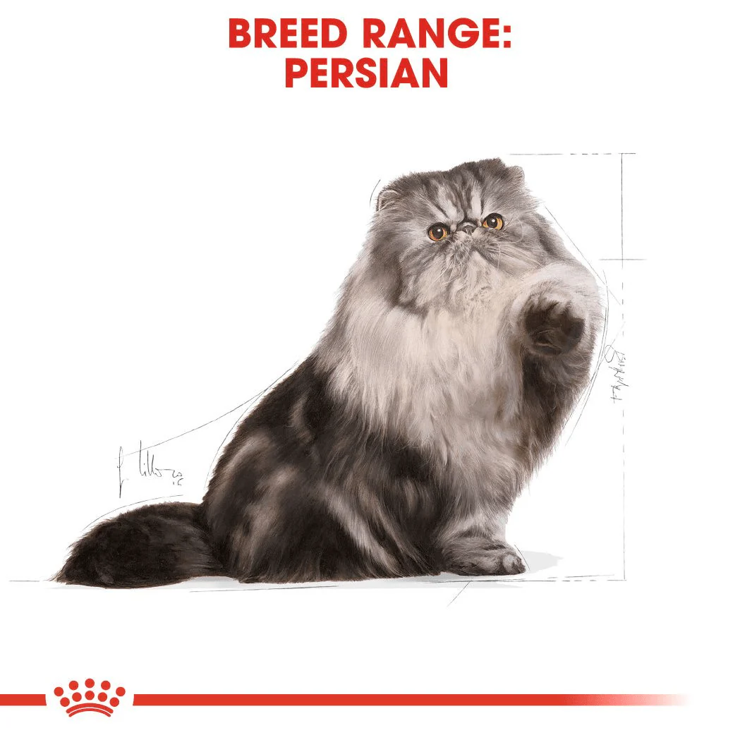 Royal Canin Persian Adult - Image 2