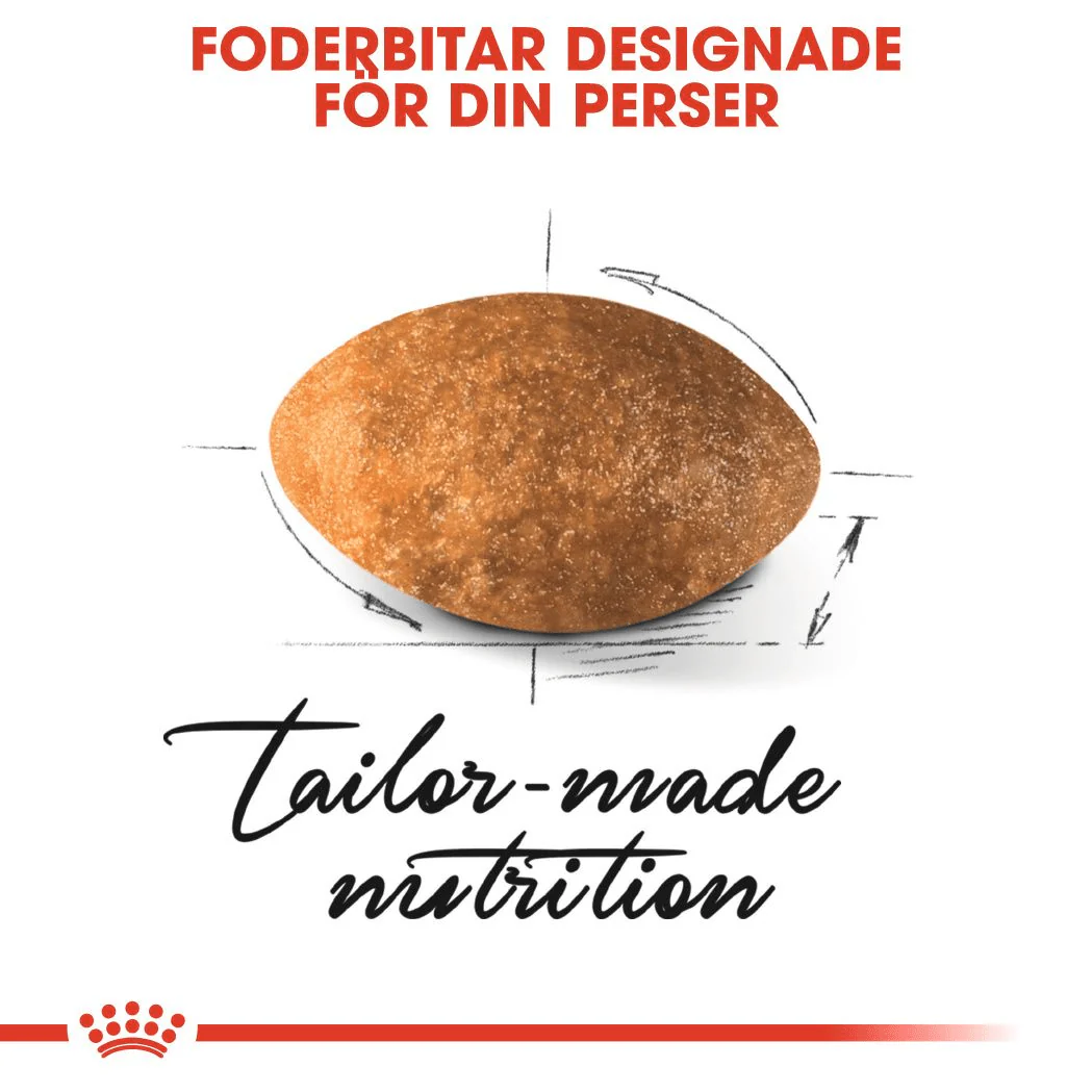 Royal Canin Persian Adult - Image 3