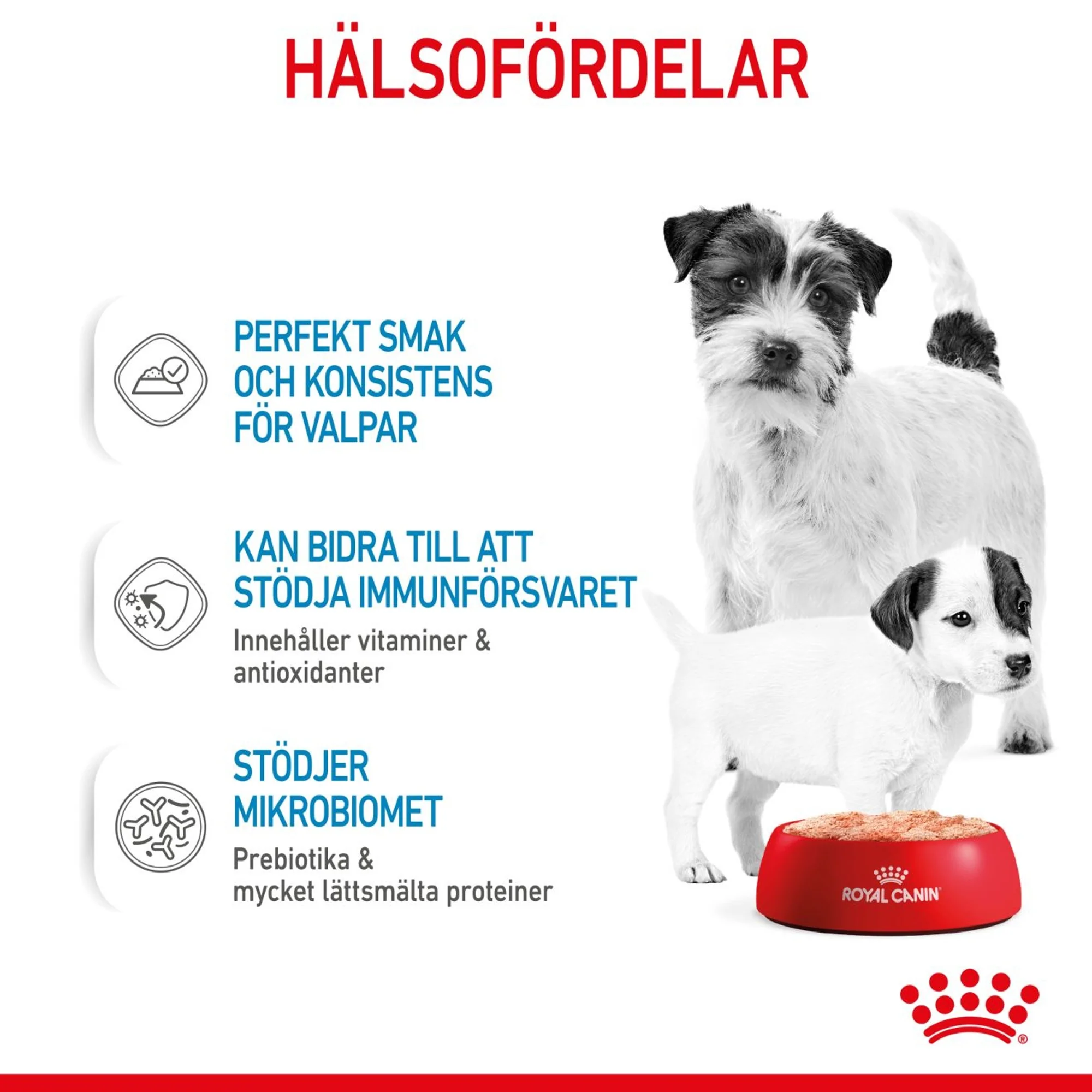Royal Canin Starter Mousse Mother & Babydog - Image 3